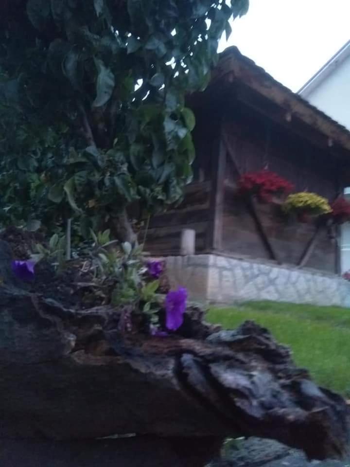 Djurdja Apartment view 4