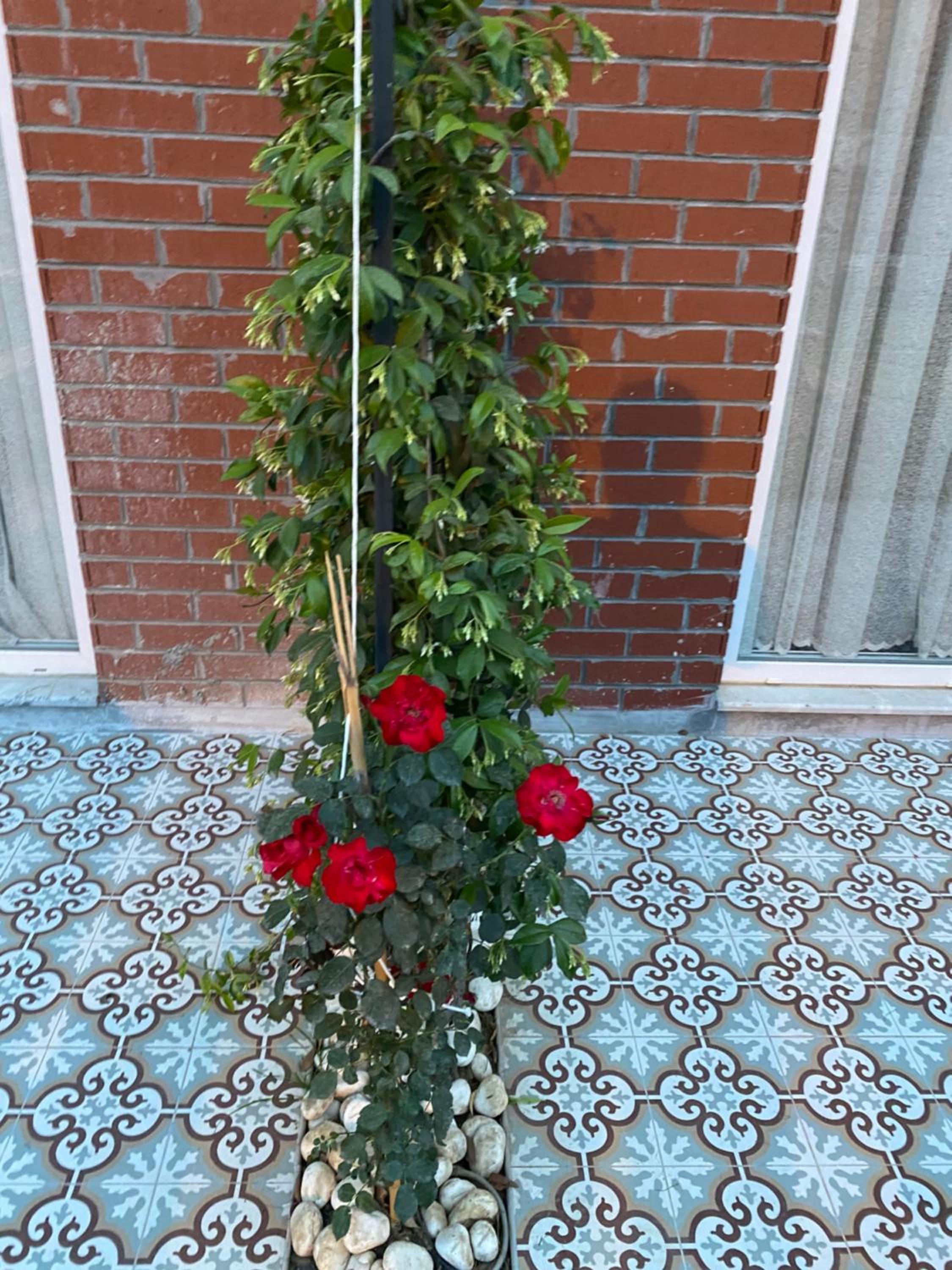 OFURO WORLD HOTEL SPA - Image 7