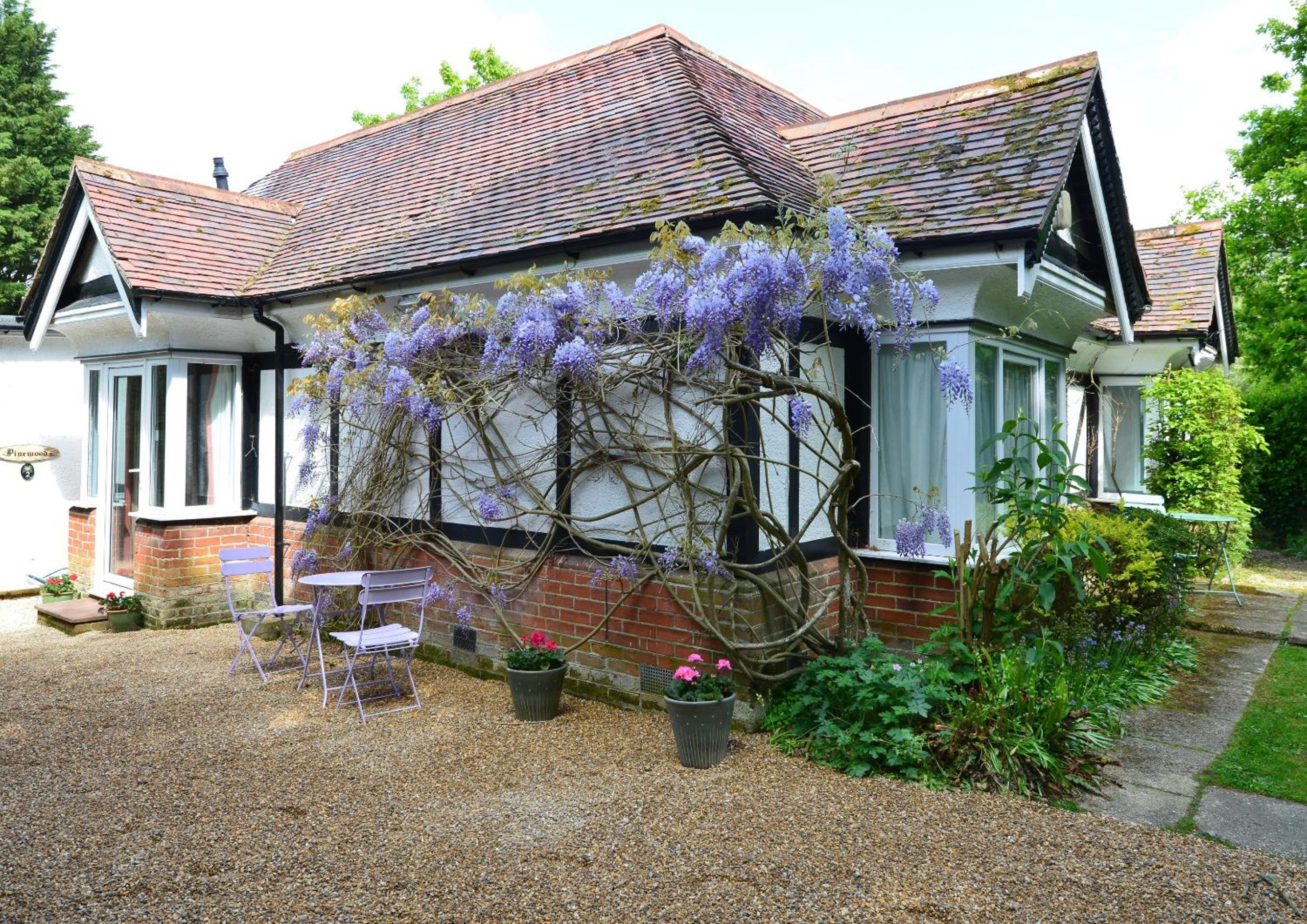 Pinewood Cottage Self Catering Apartments and studio apartments view 5