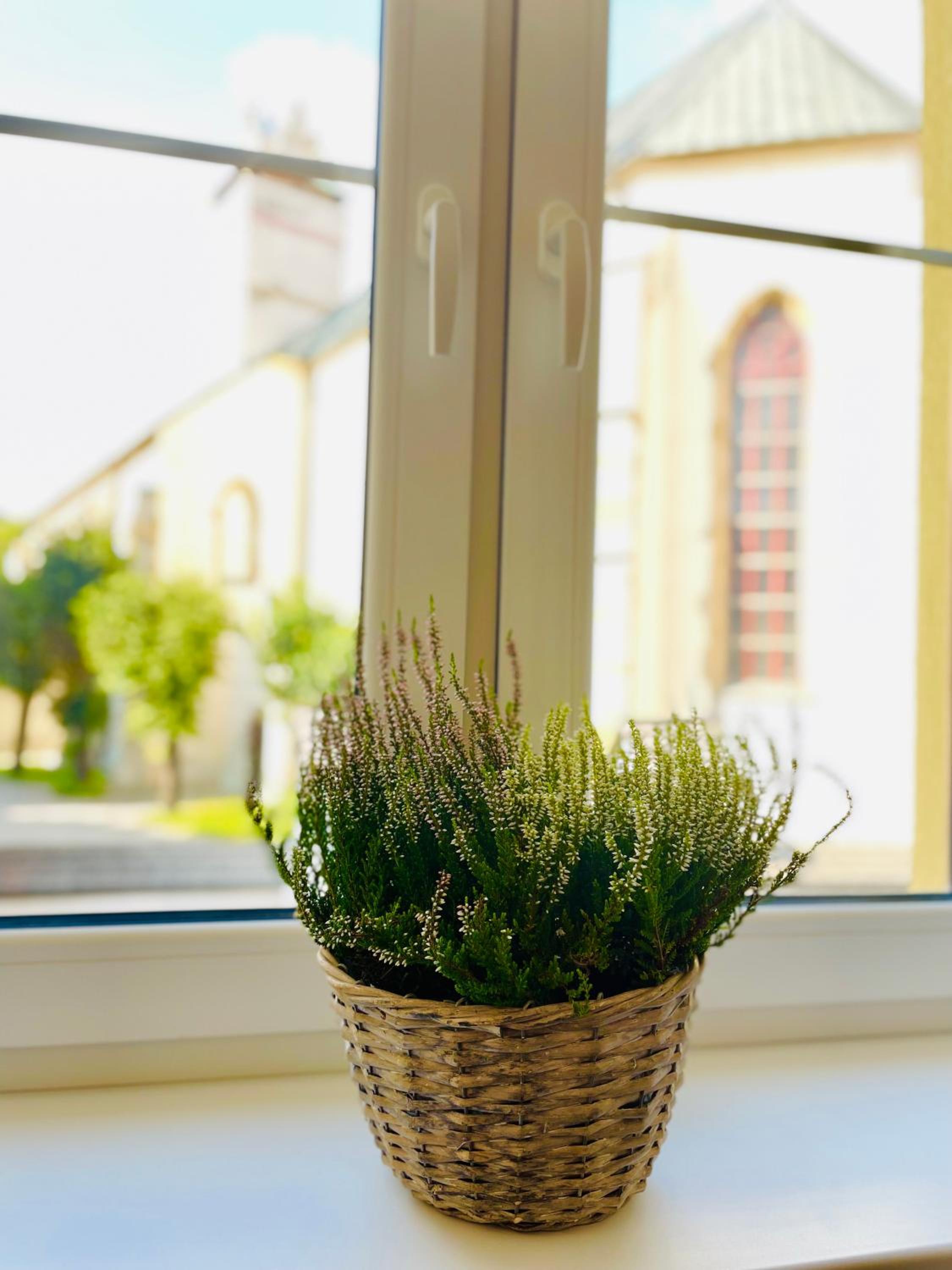 Photo 31