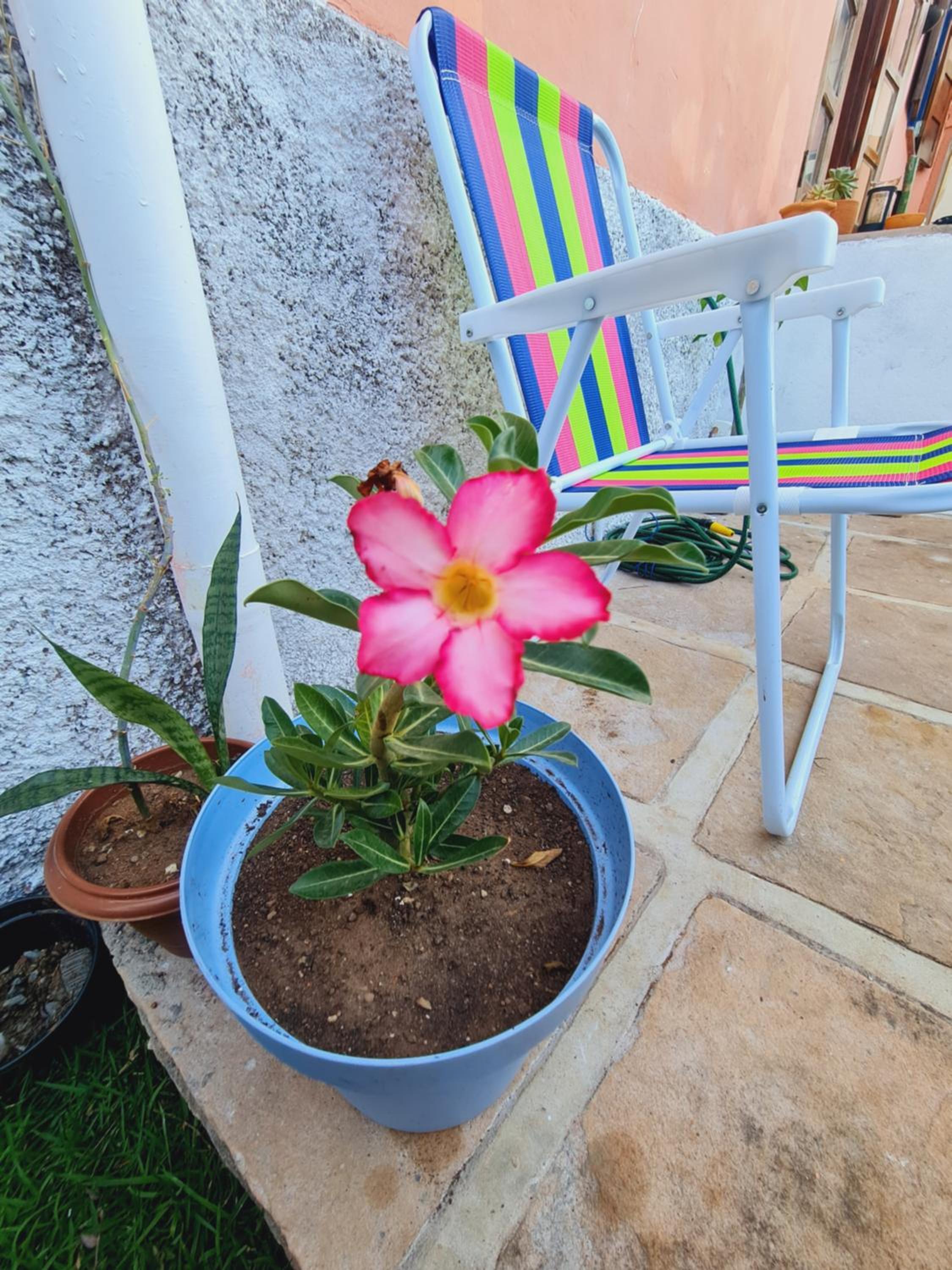 A Casa da Kali