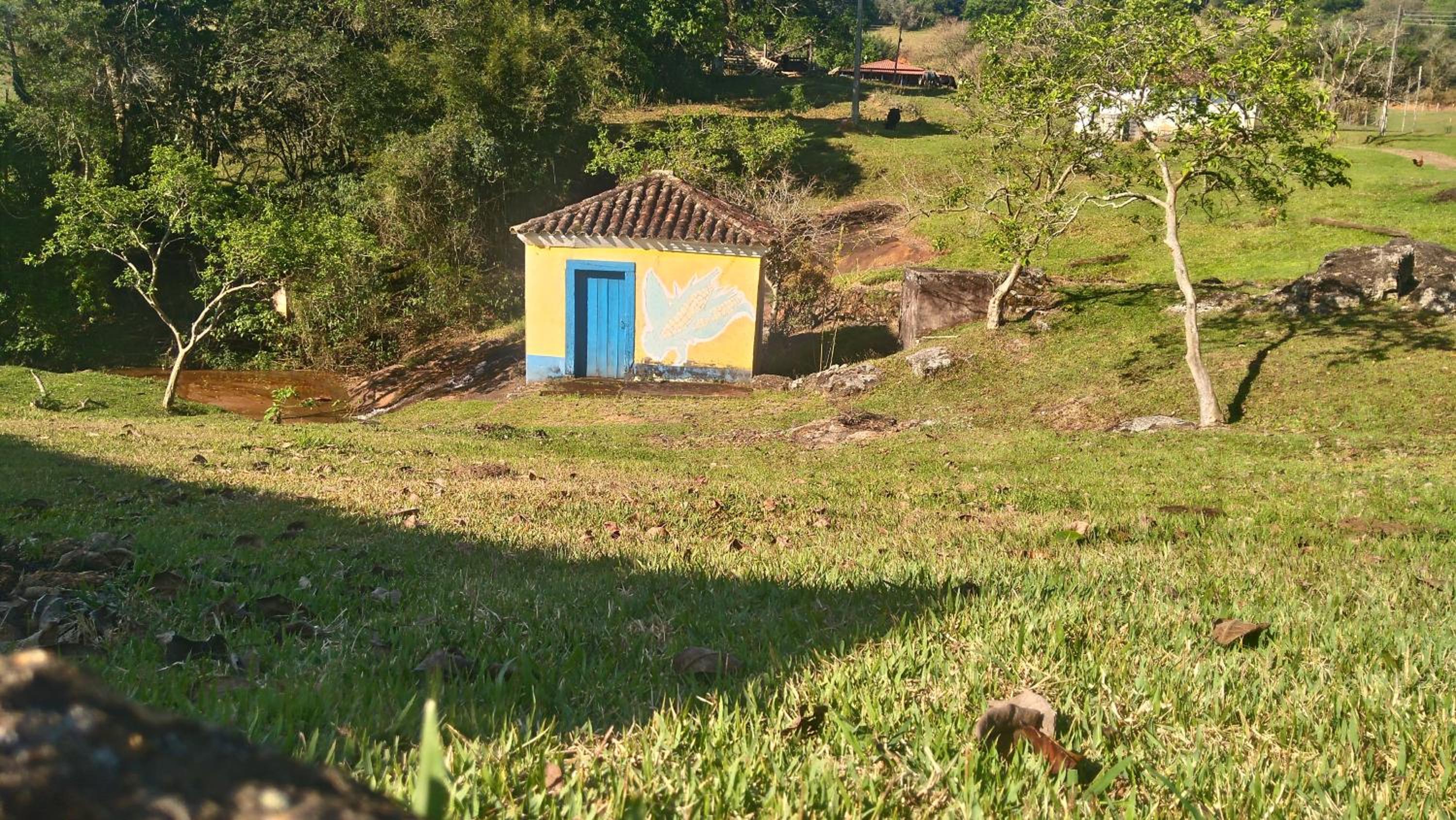 Photo 12