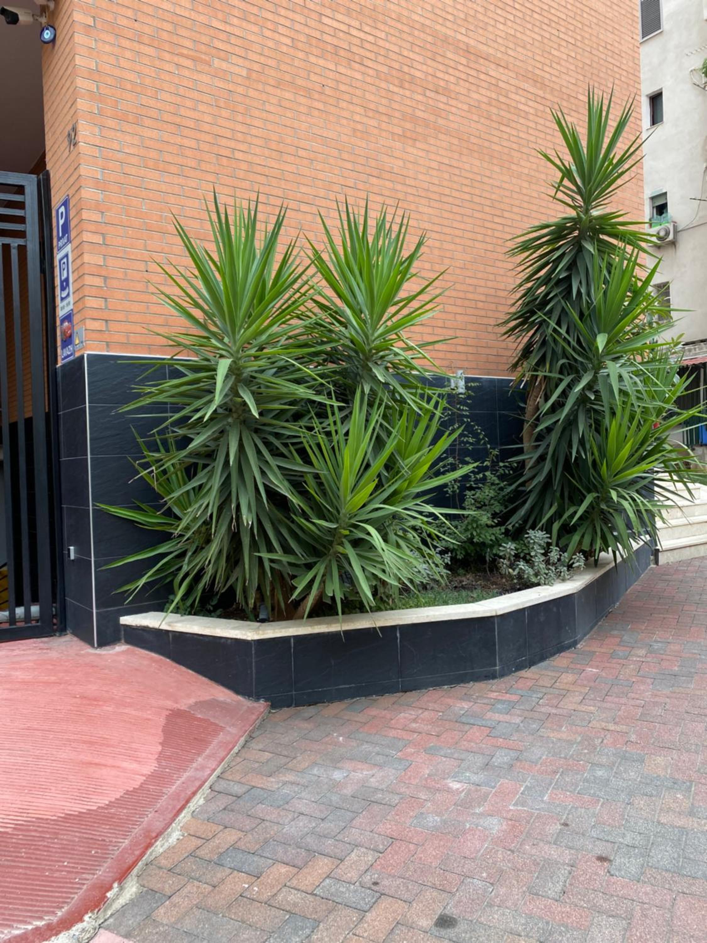 Nemis apartments in the centre of Tirana four Free parking