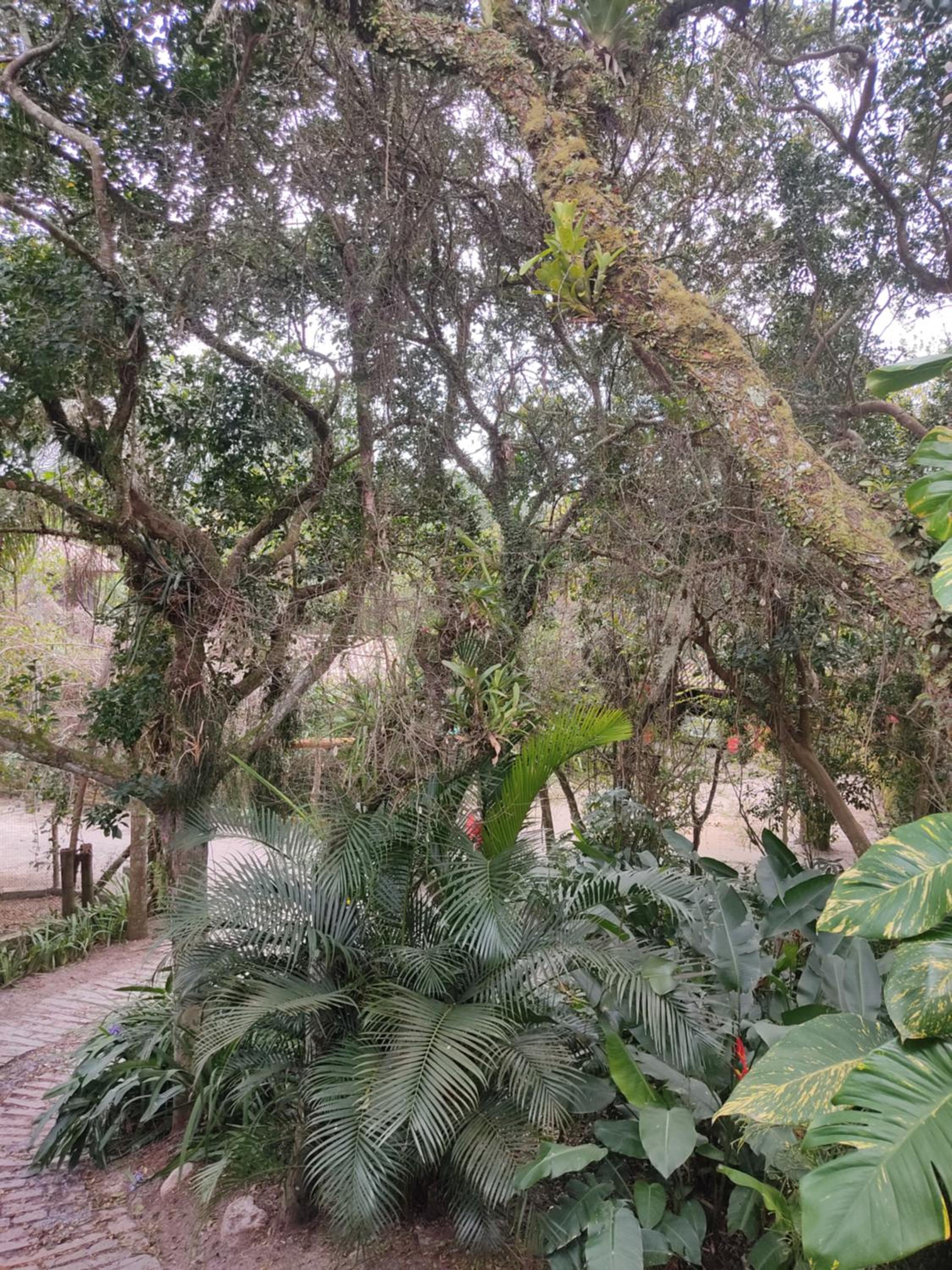 Nalua Guest House