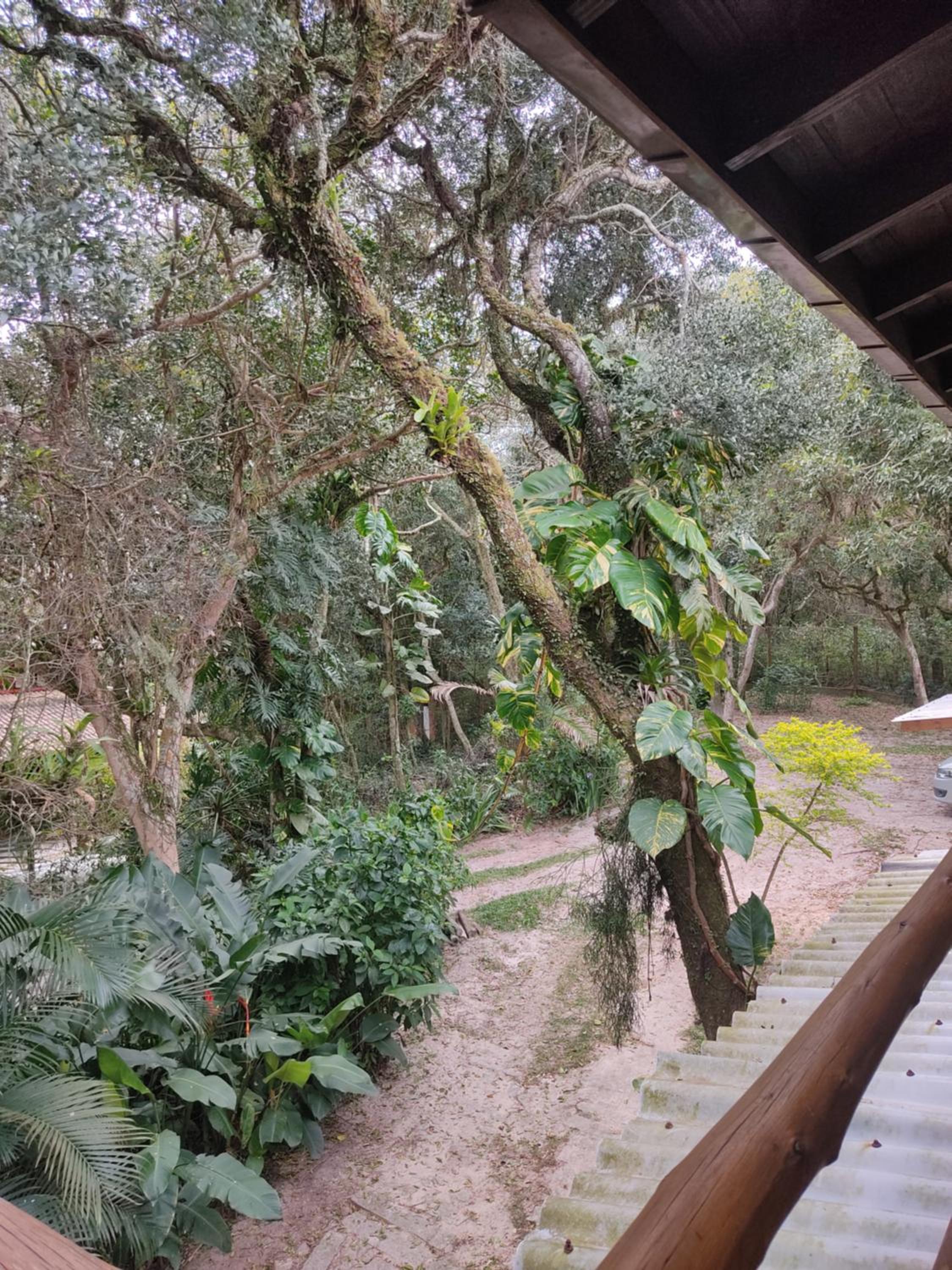 Nalua Guest House