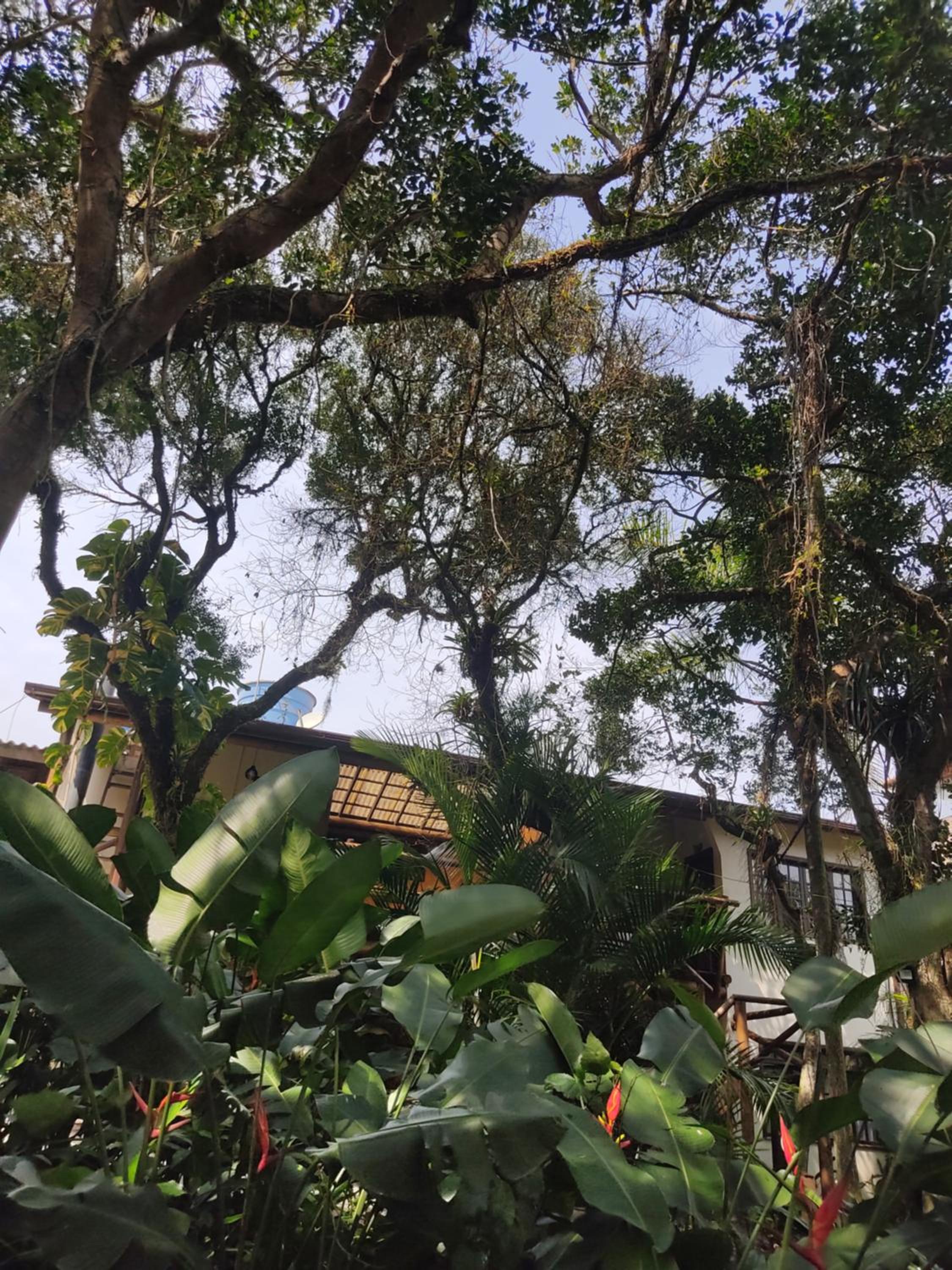 Nalua Guest House