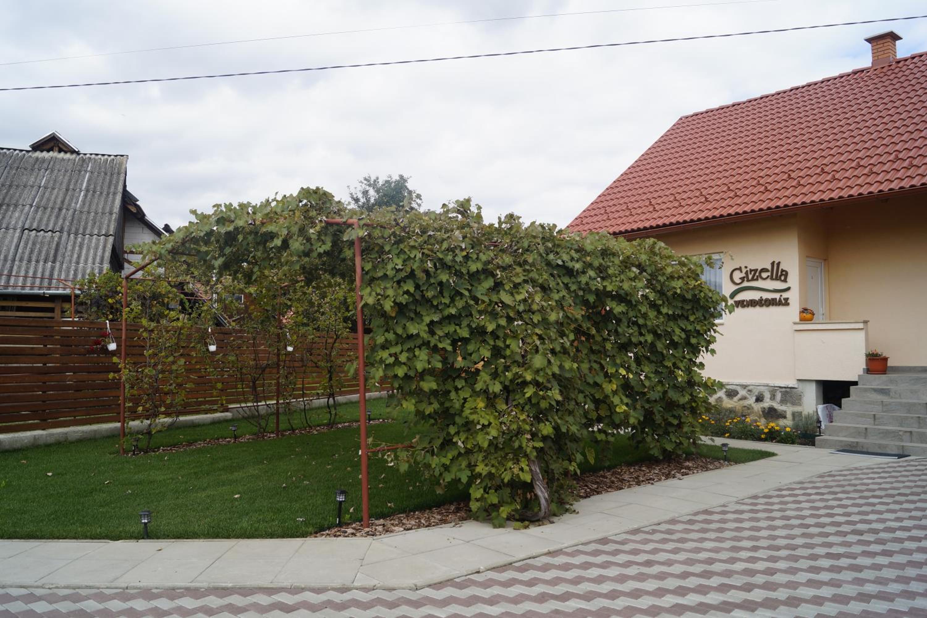 Photo 50