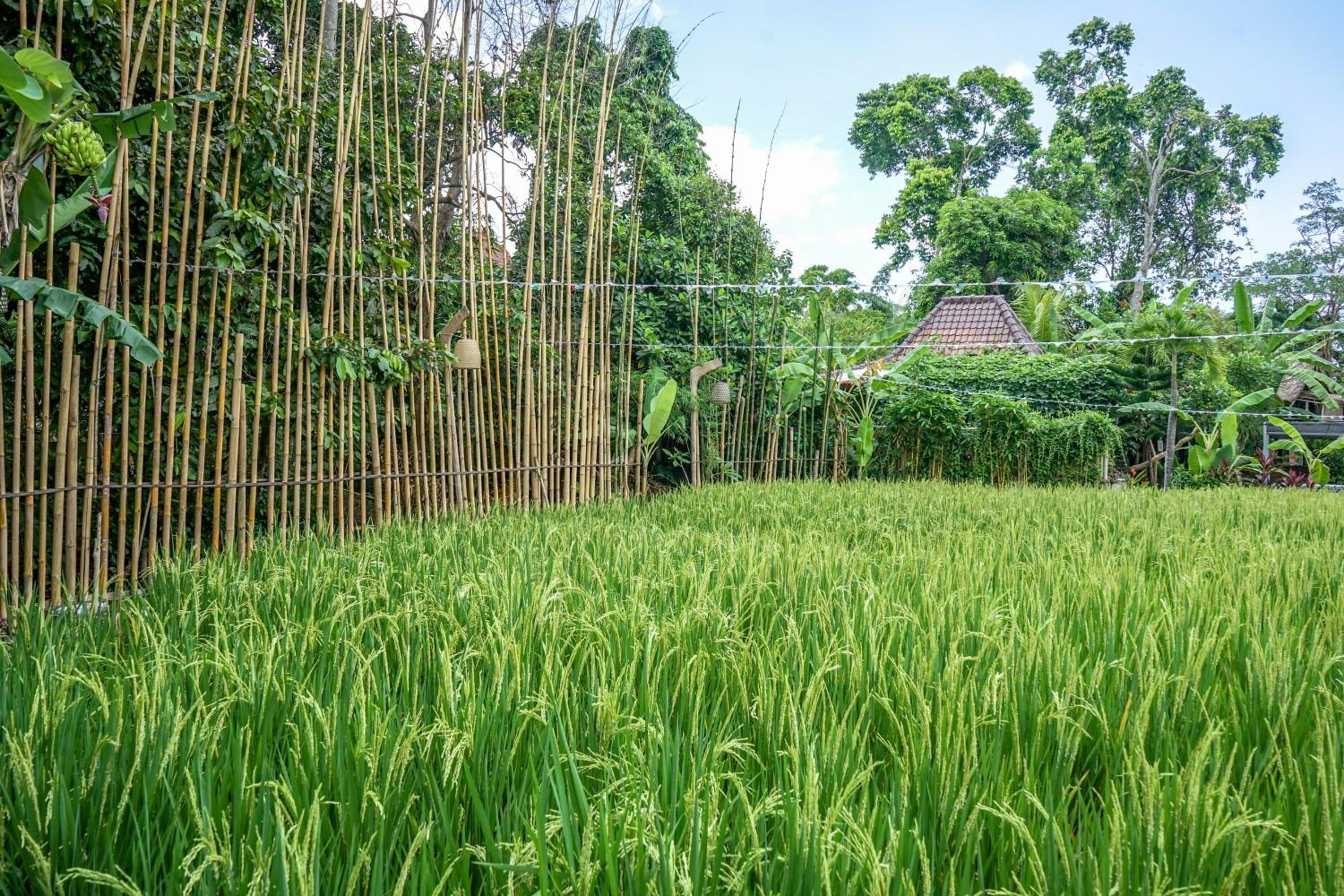 KTS Balinese Villas