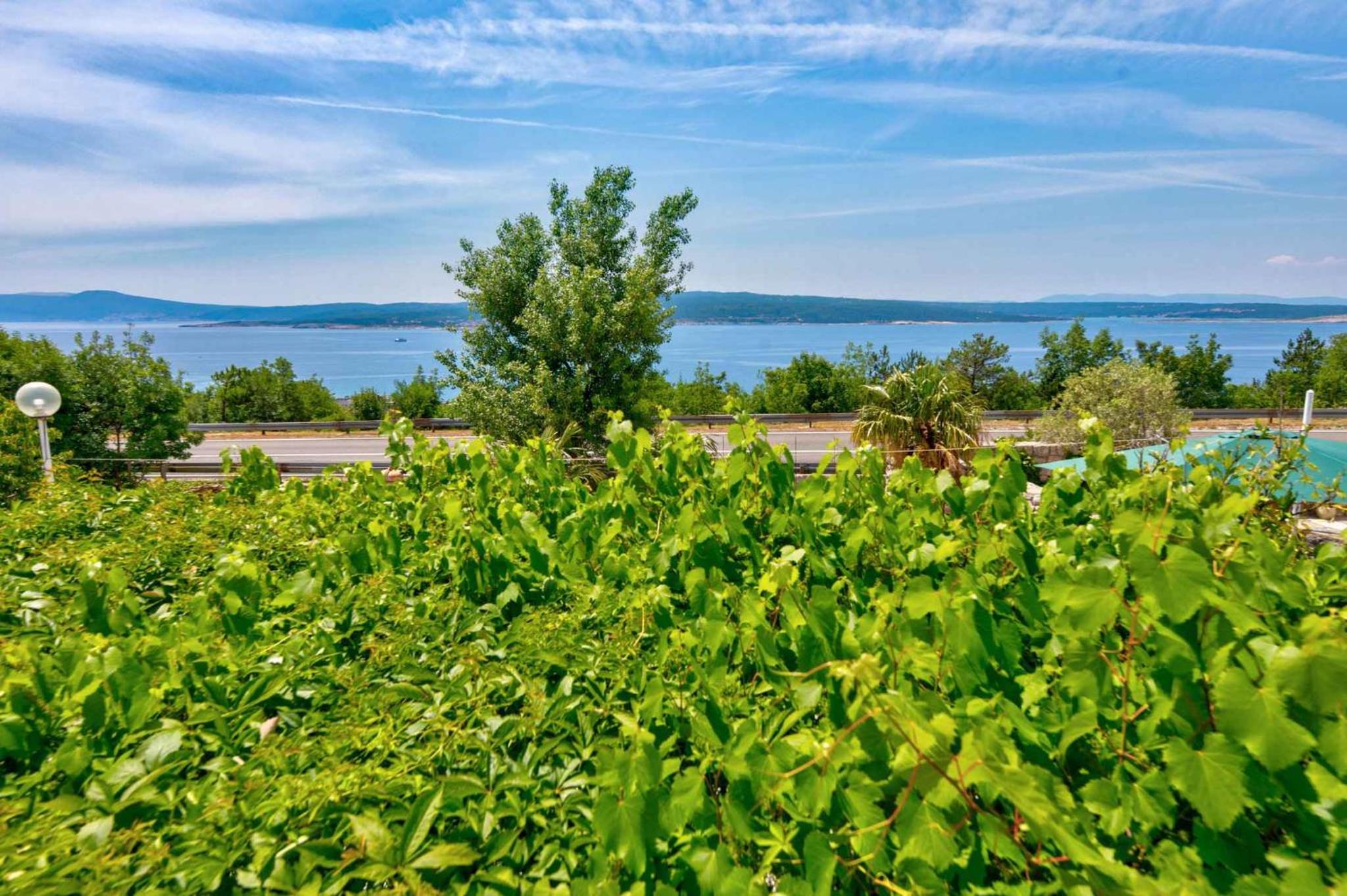 Apartment in Crikvenica 39149