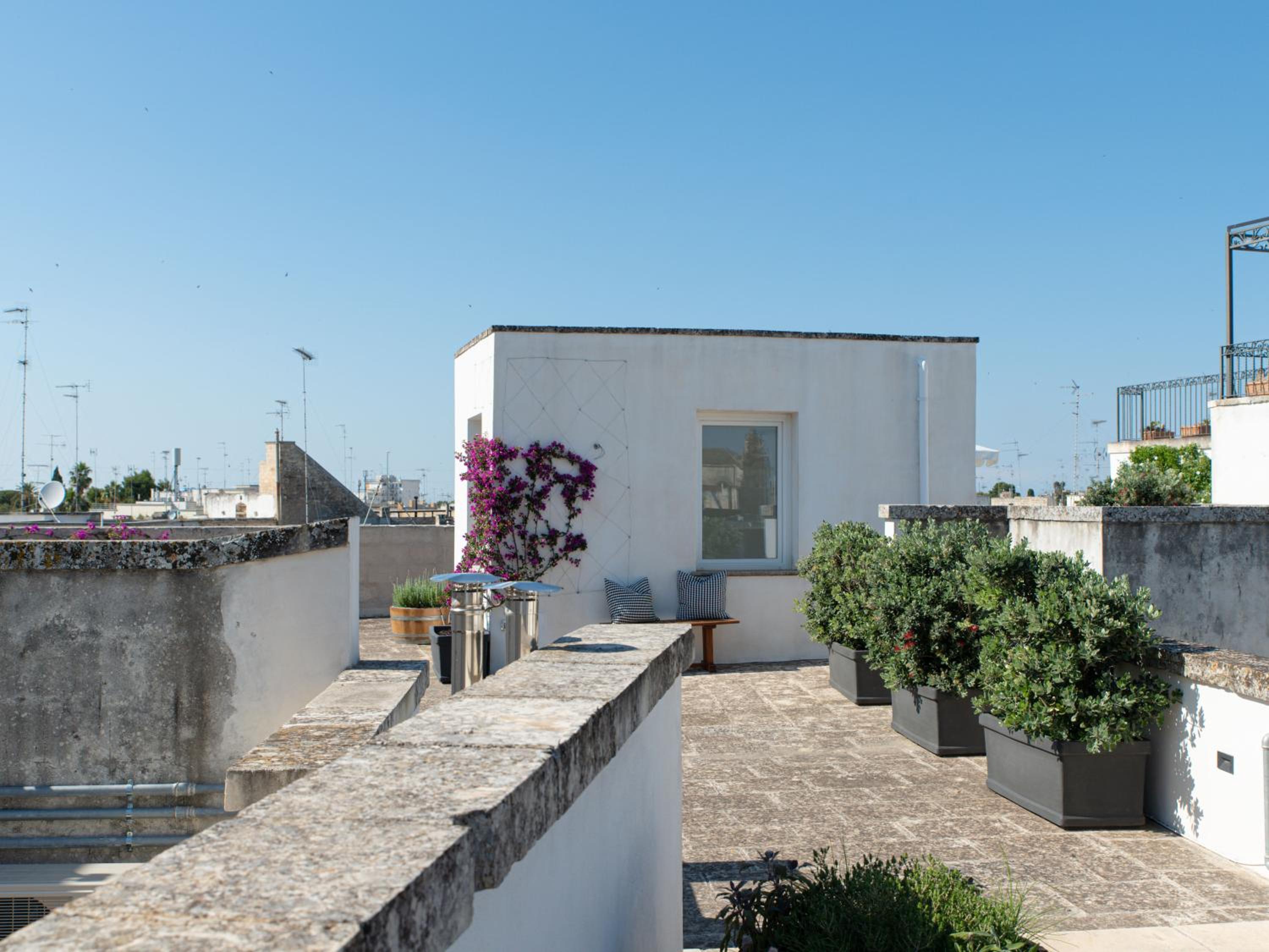 roof