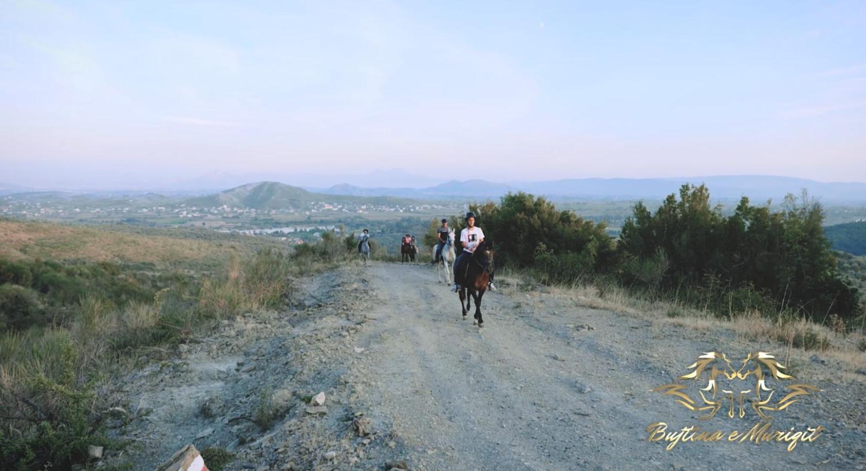 Bujtina e Muriqit
