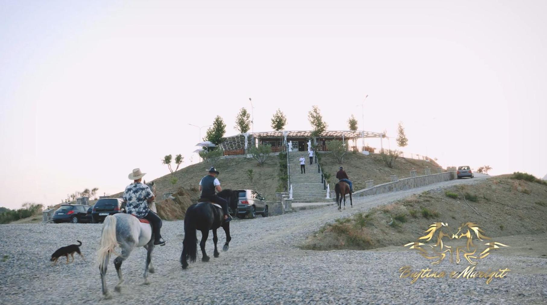 Bujtina e Muriqit