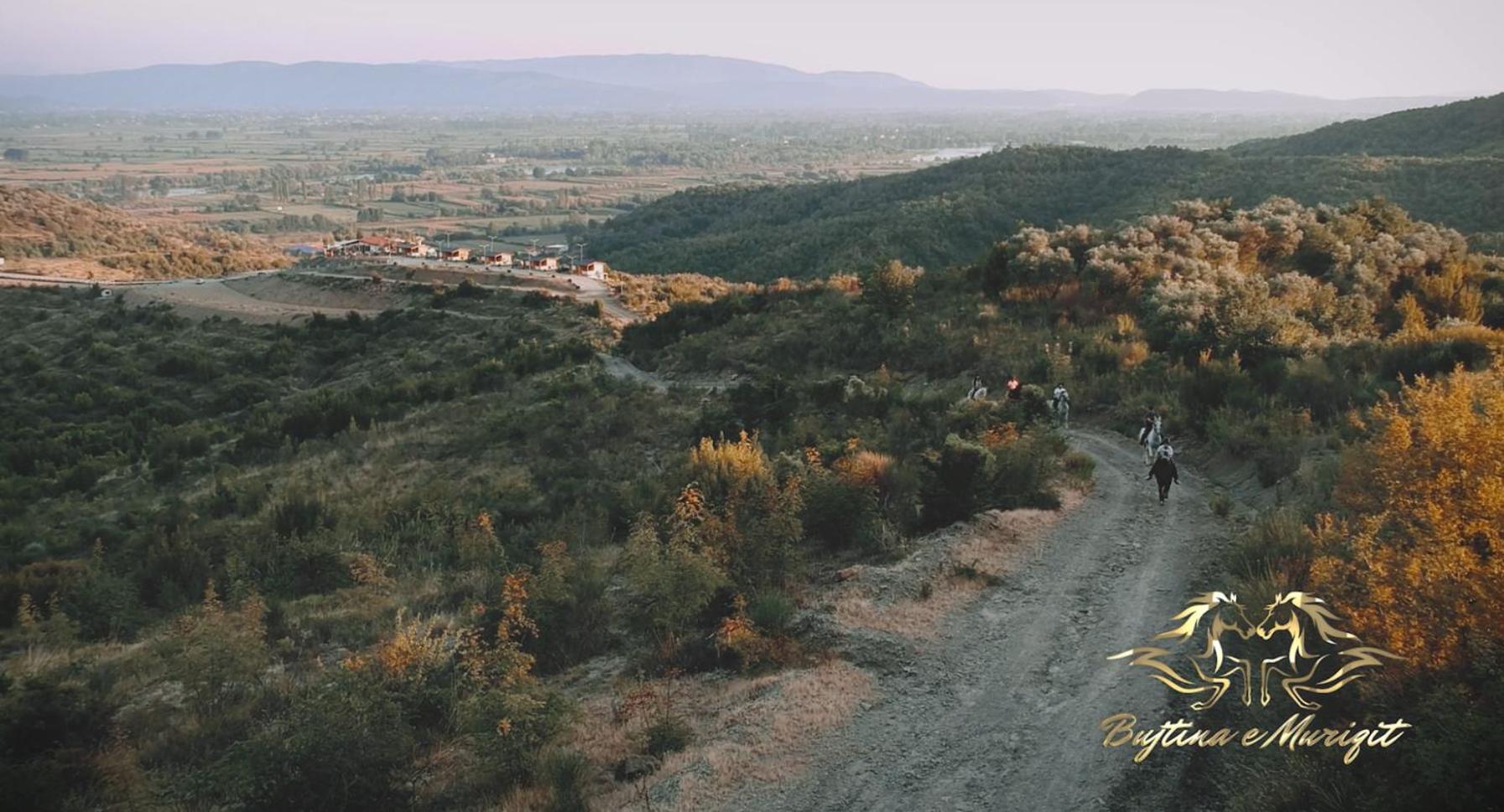 Bujtina e Muriqit