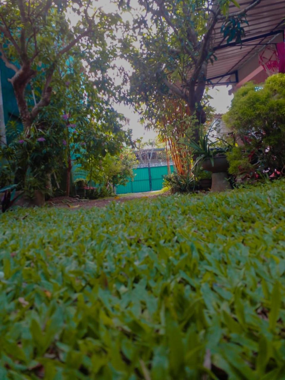 Shan Villa