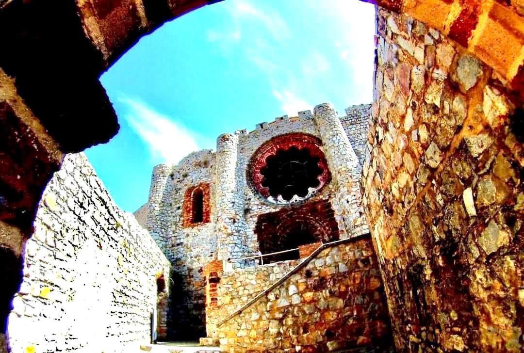Photo 8