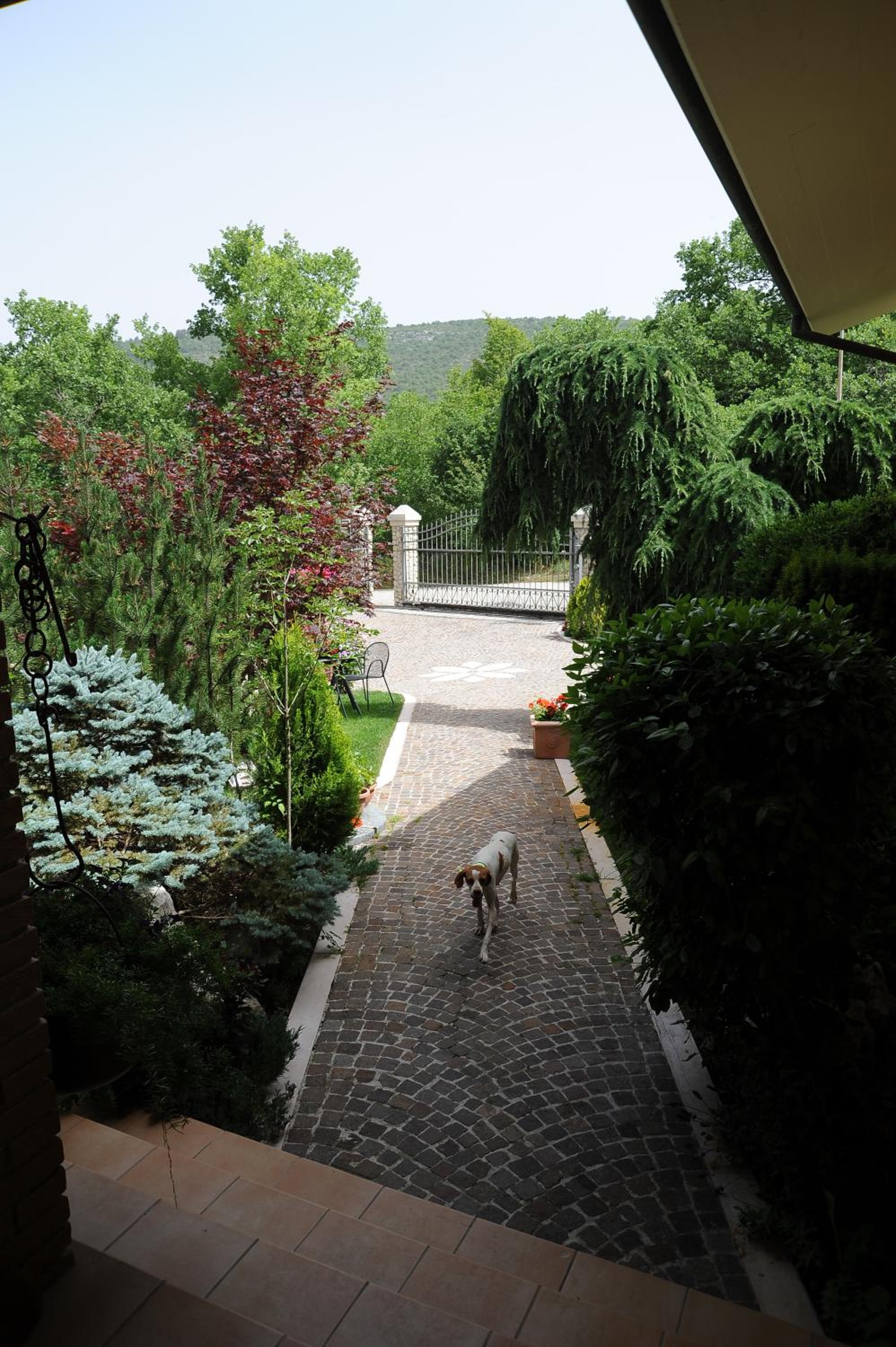 Photo 18