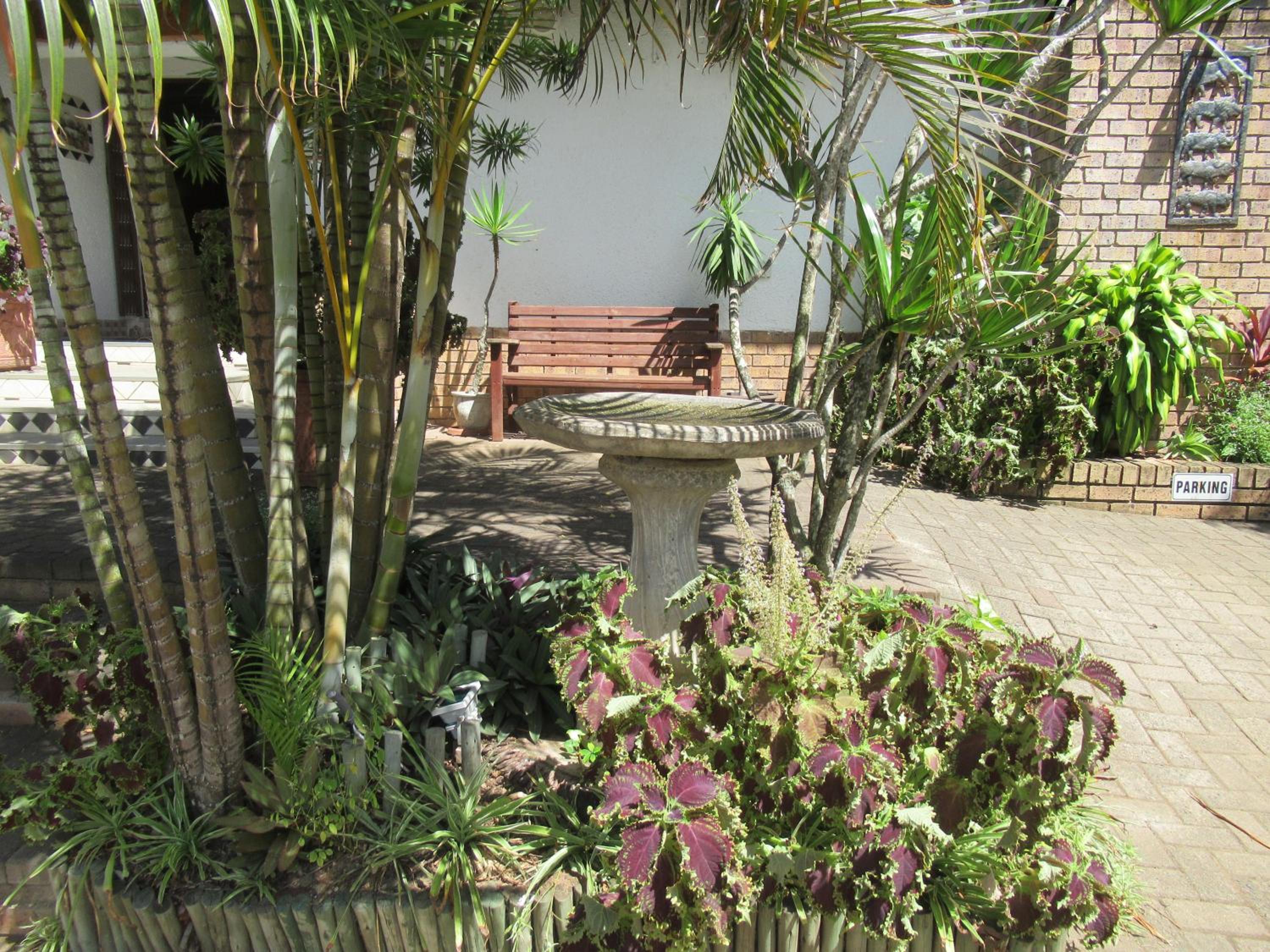 Bhangazi Lodge Bed & Breakfast