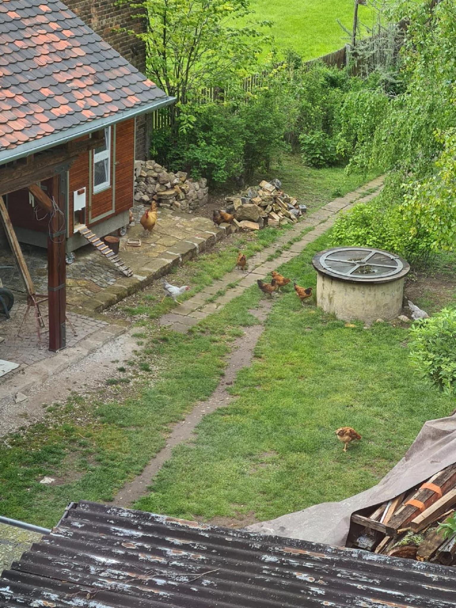 Photo 23