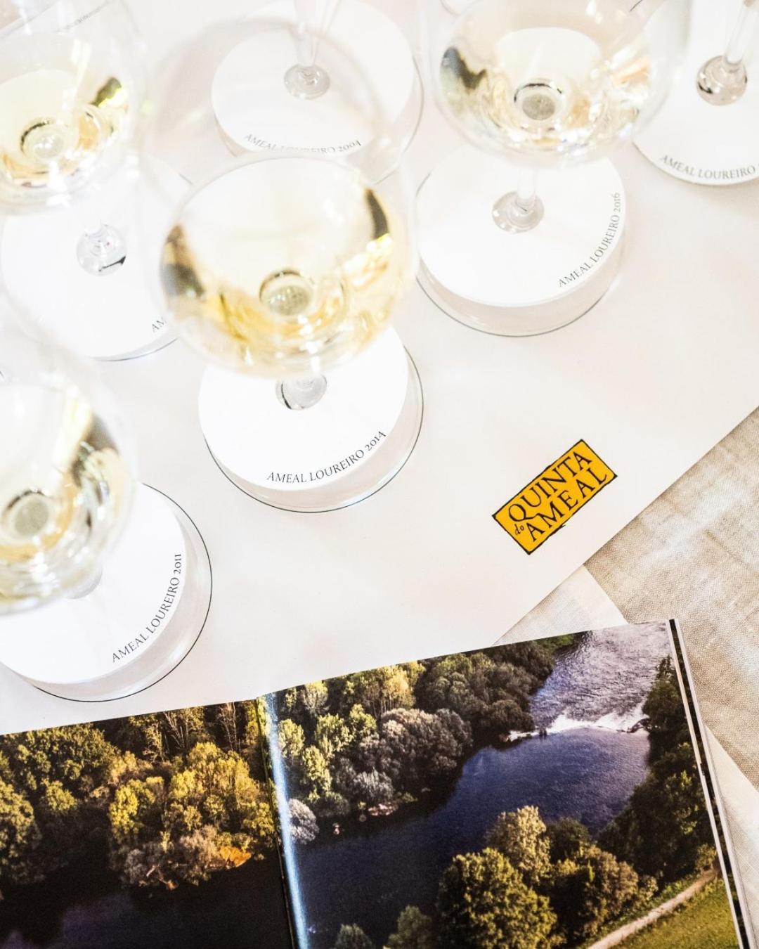 Wine Tourism - Quinta do Ameal