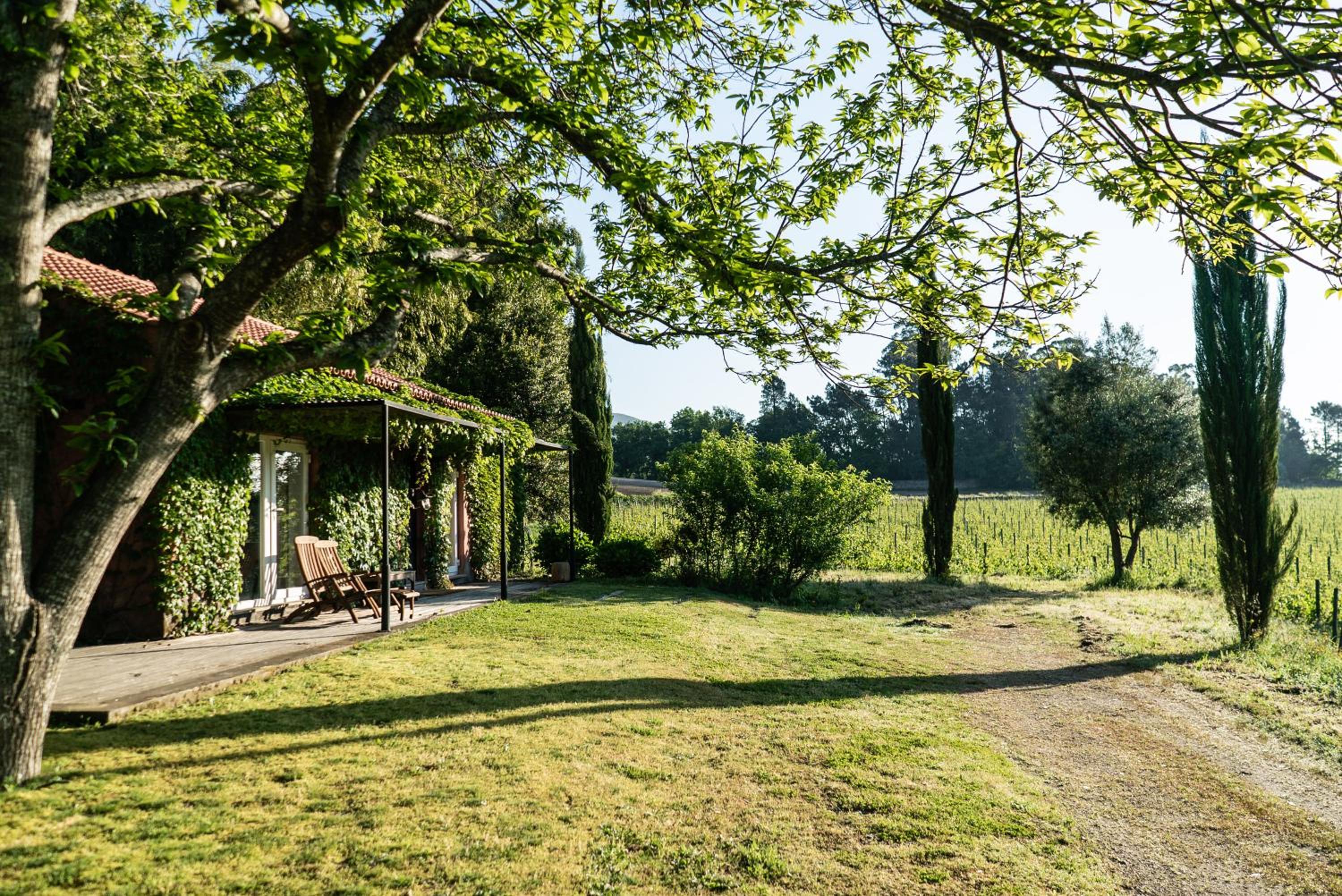 Wine Tourism - Quinta do Ameal