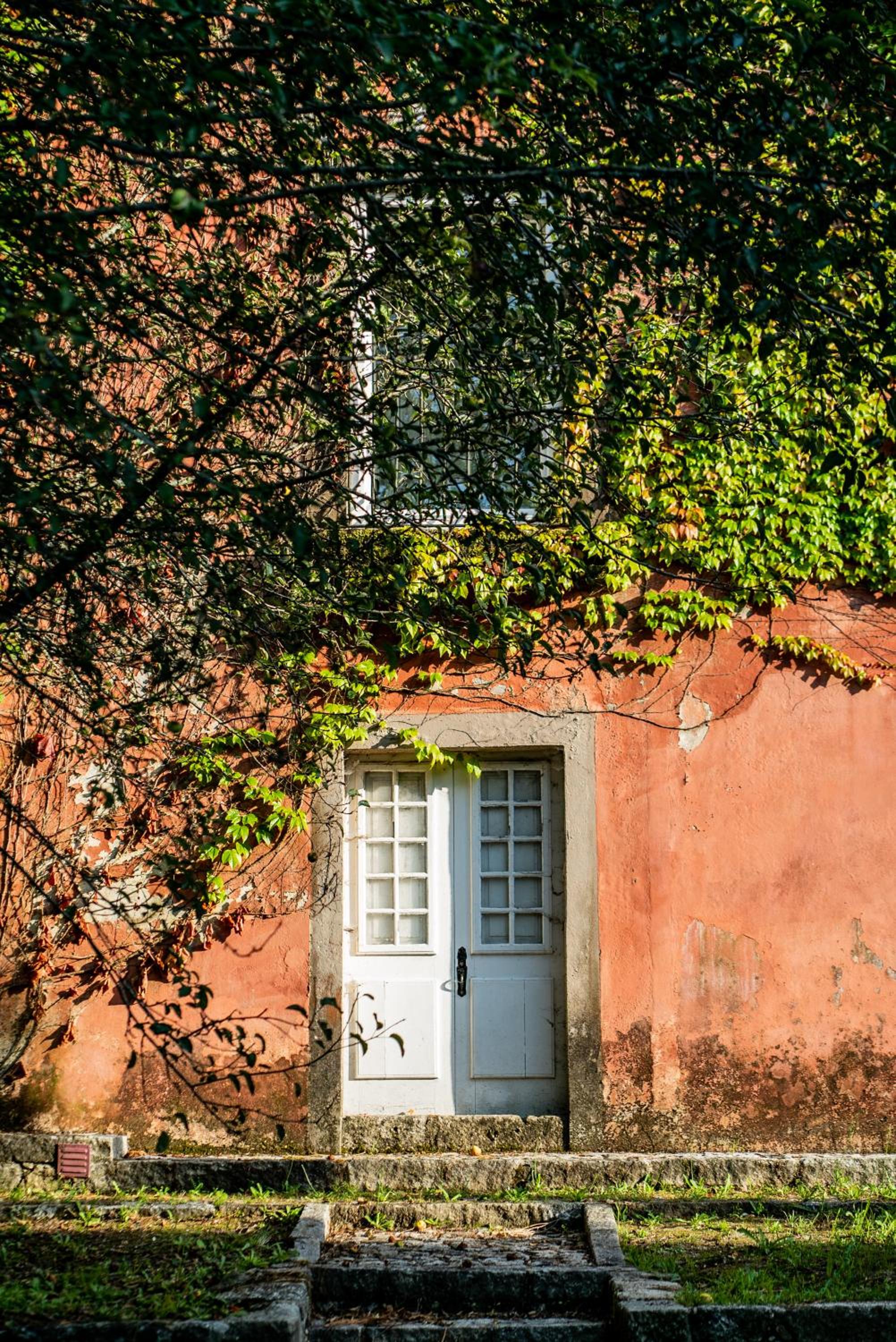 Wine Tourism - Quinta do Ameal