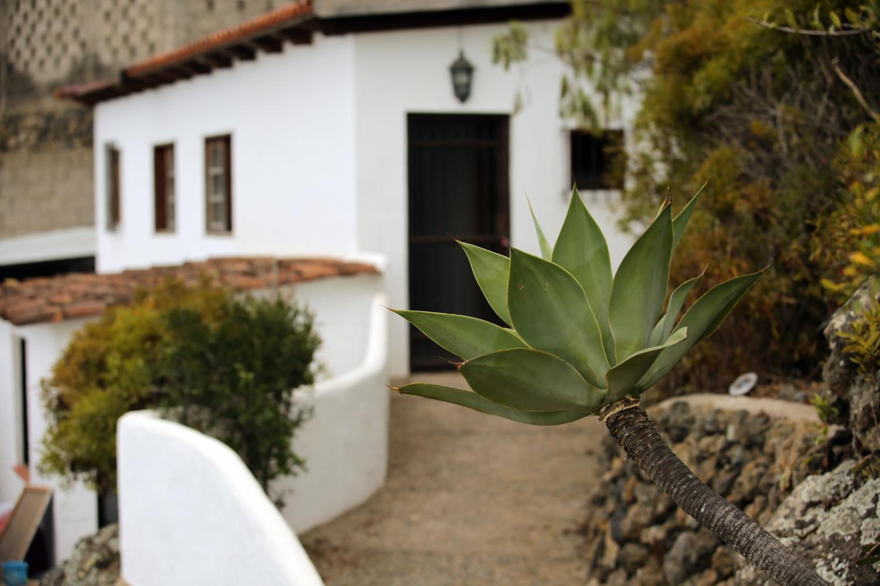 Pajar - Finca Tabaiba By TOR photo 5