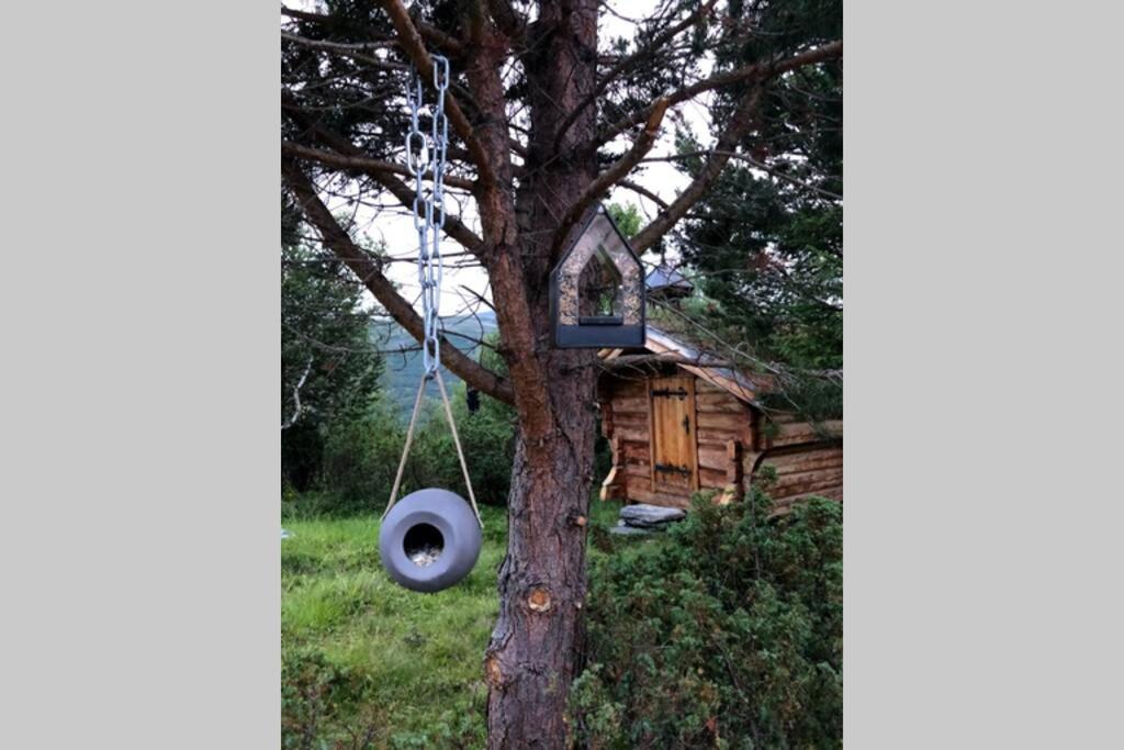 Photo 15