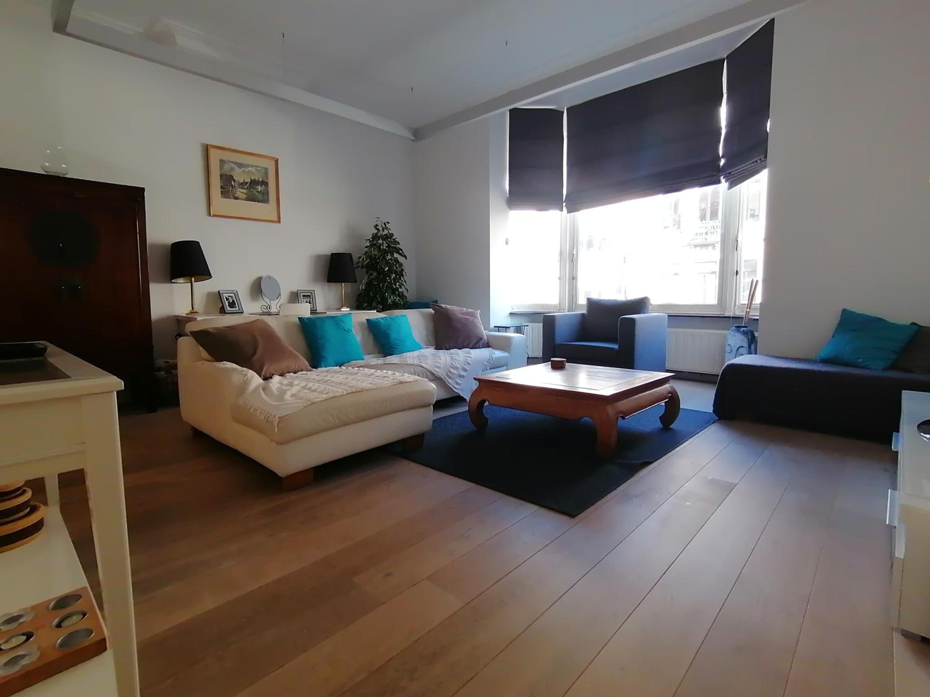 Brugmann Loft Apartment view 4