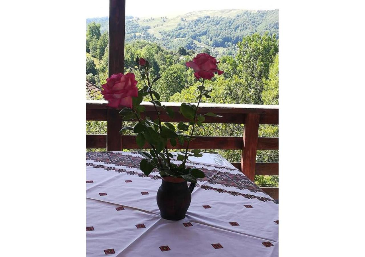 Casa Savu Secaria view 4
