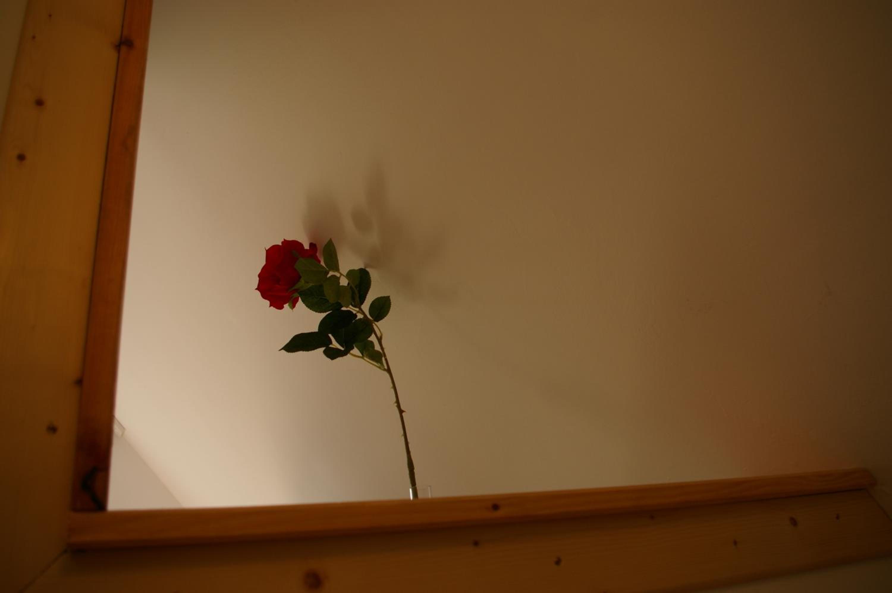 Photo 53