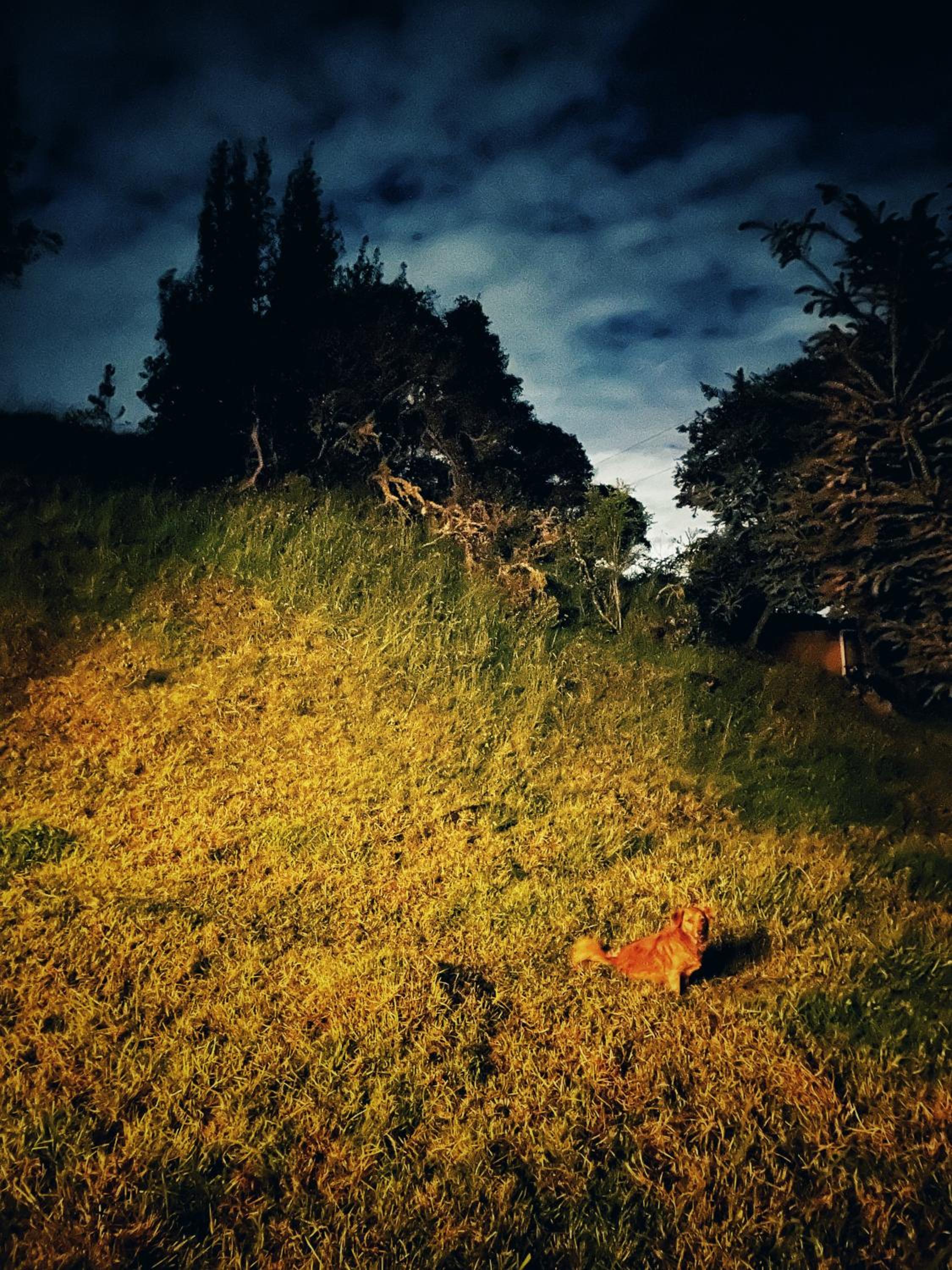 Finca Agrreste