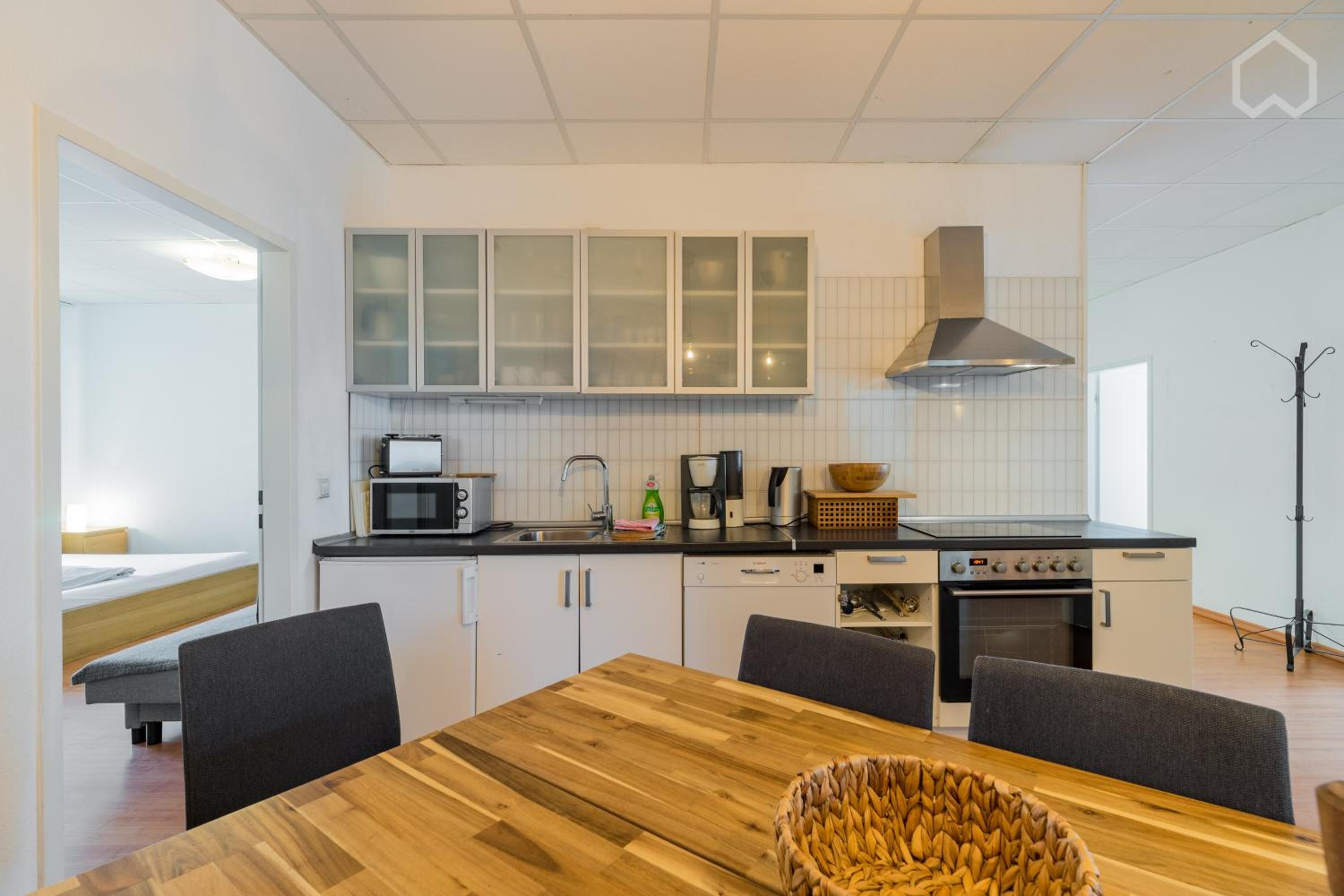 Spacious and modern furnished apartment for 10 guests