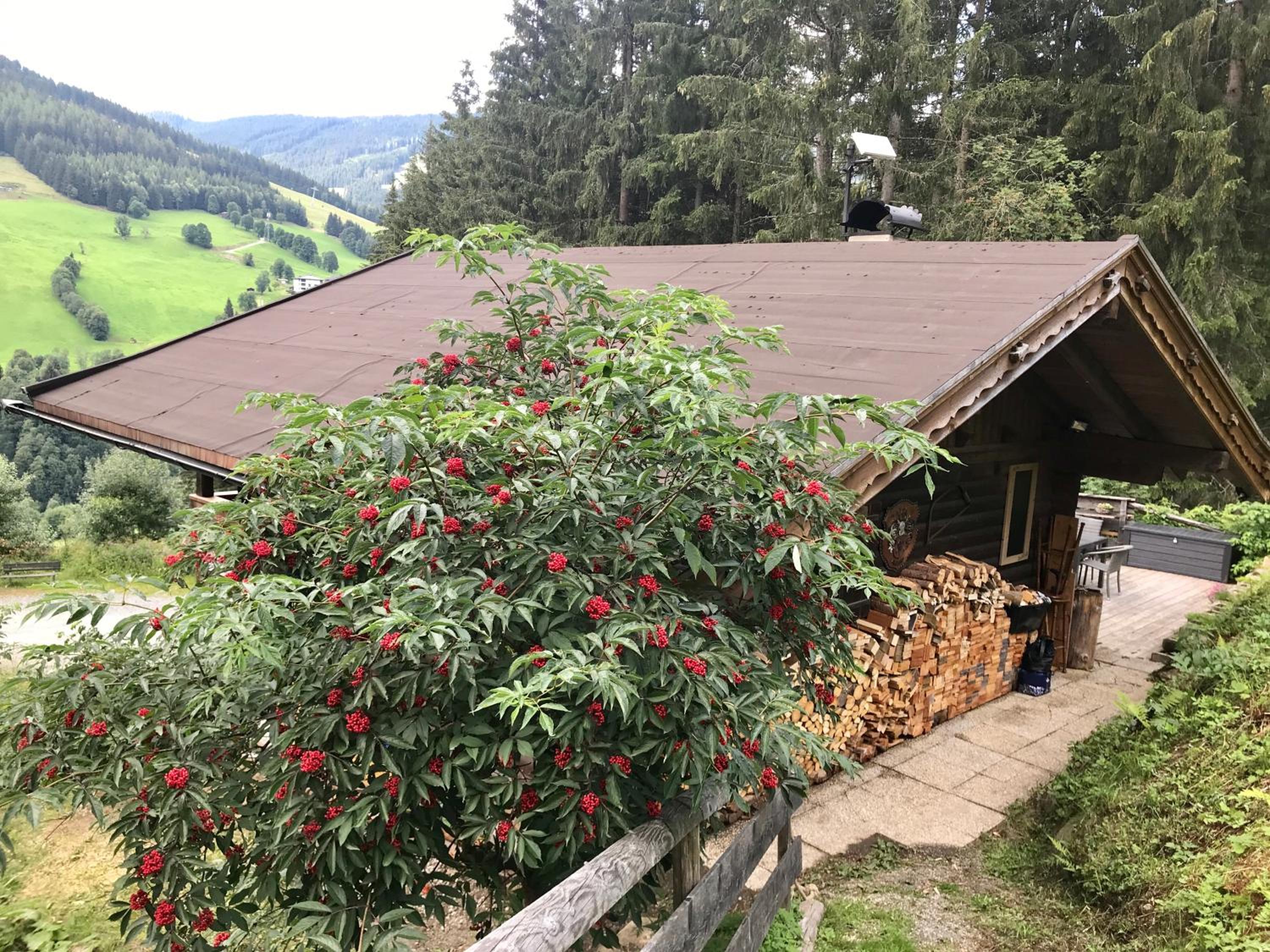 Wasserfallhütte Saalbach view 5