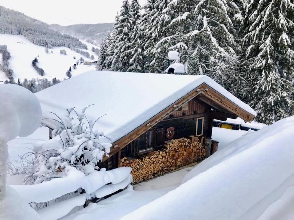 Wasserfallhütte Saalbach view 2