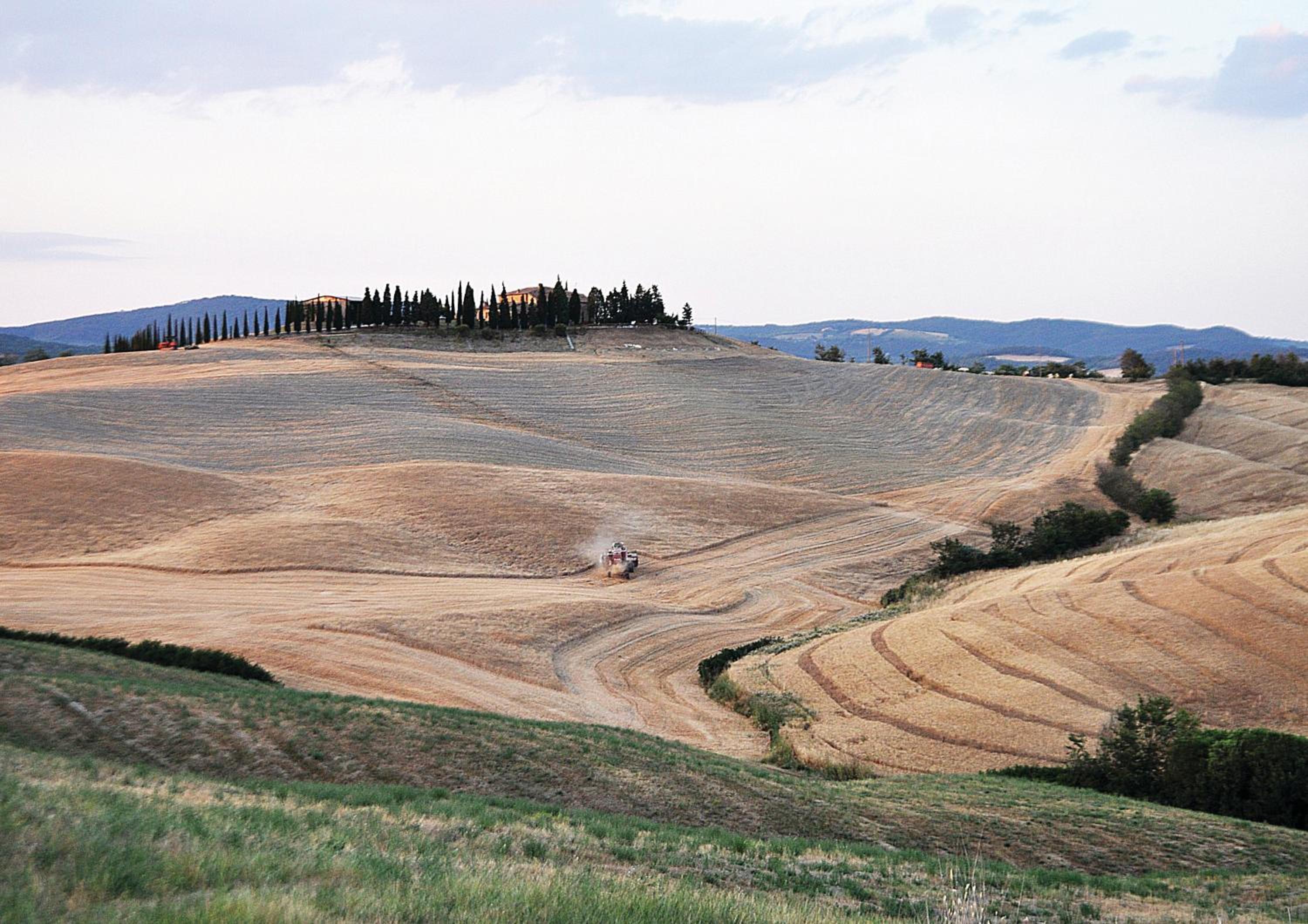 Agriturismo Bonello