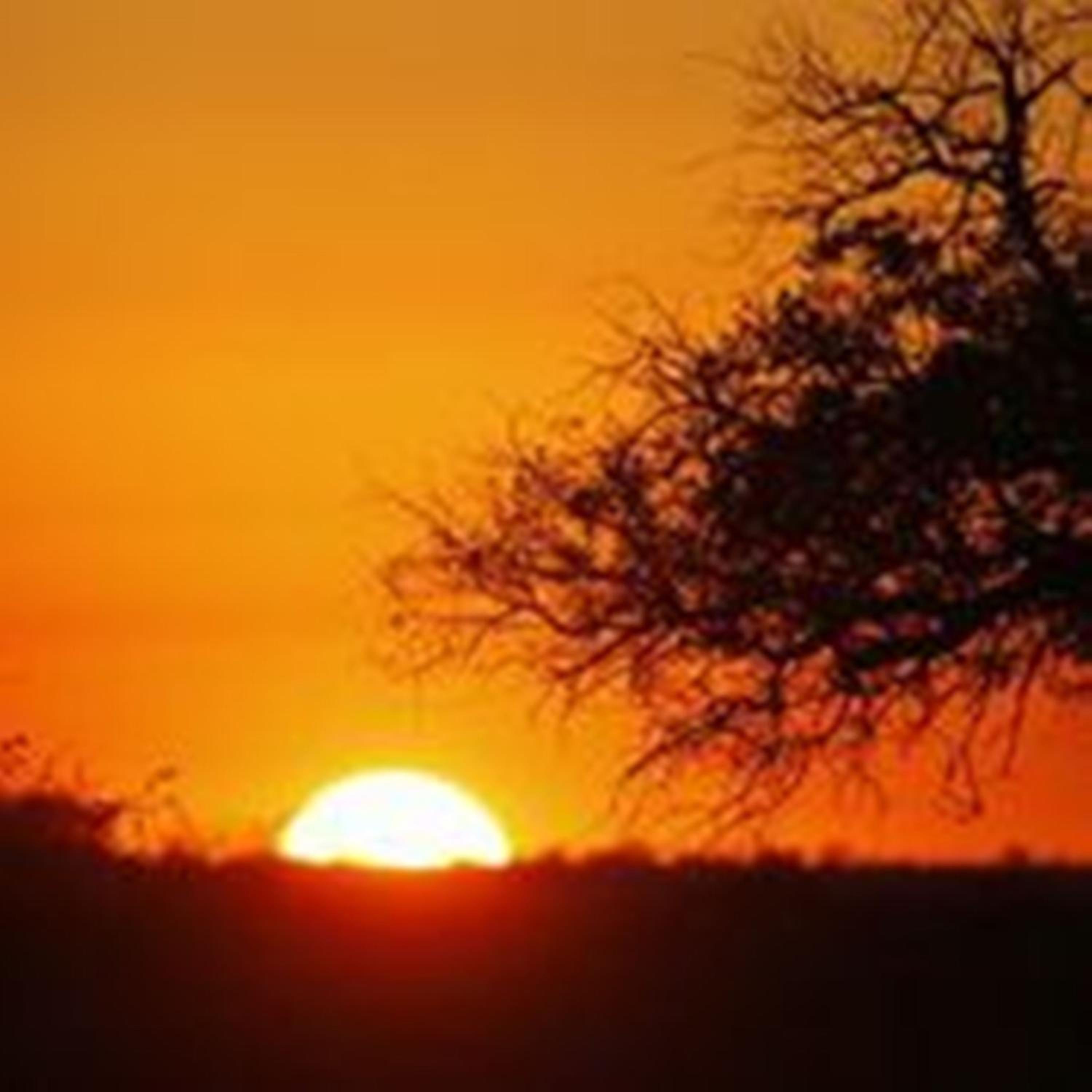 Umlani Bushcamp