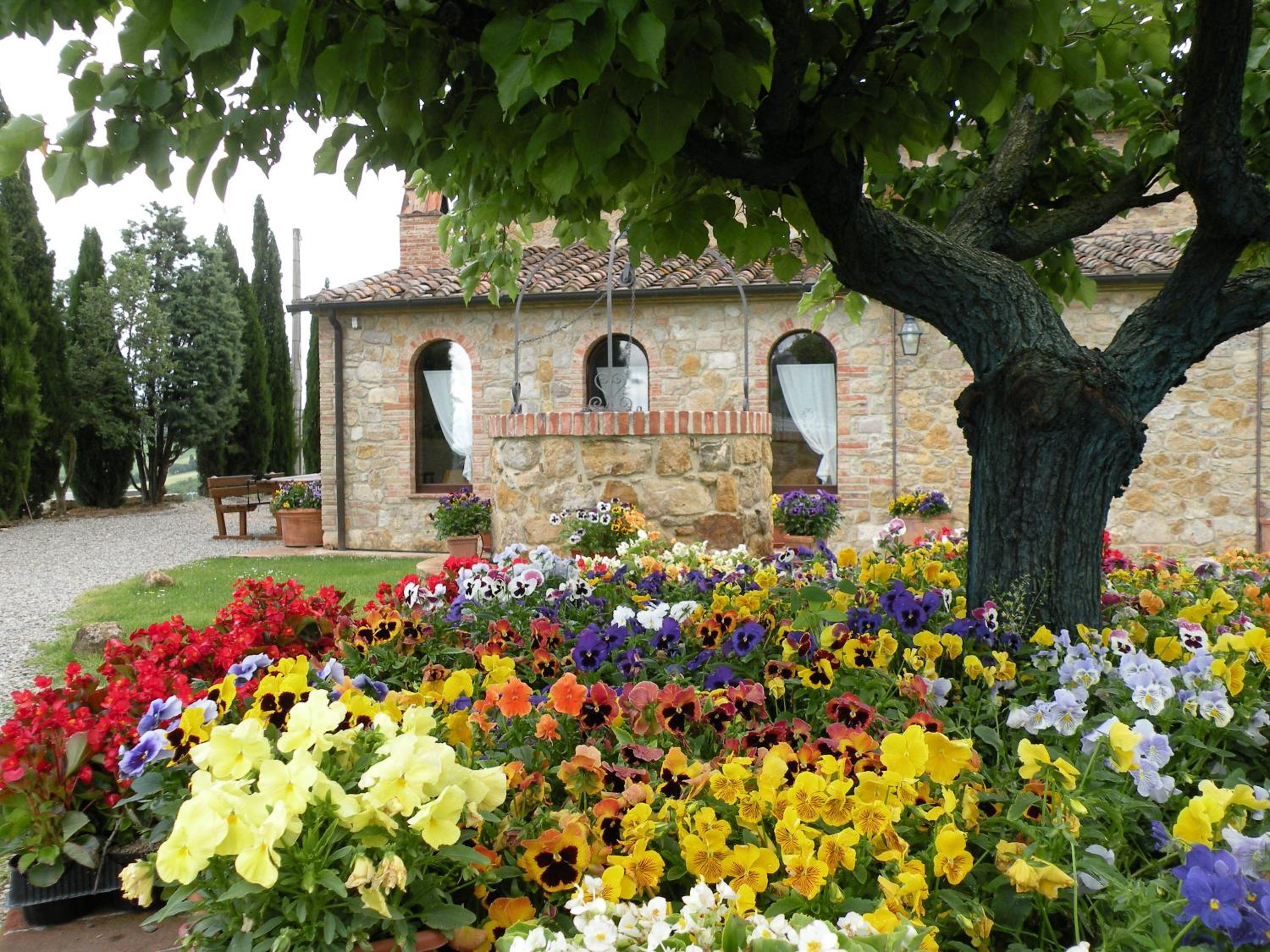 Agriturismo Bonello