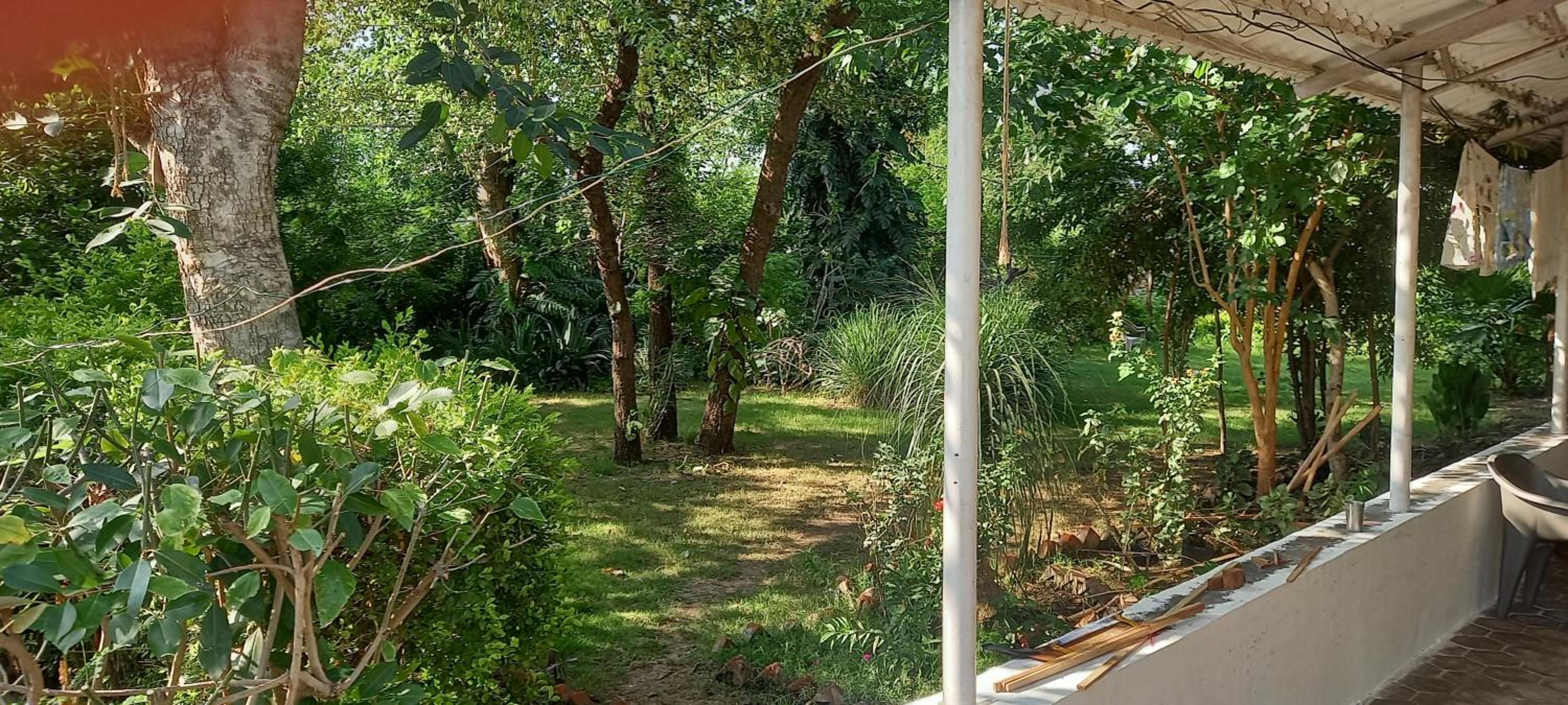 Tranquility view 4