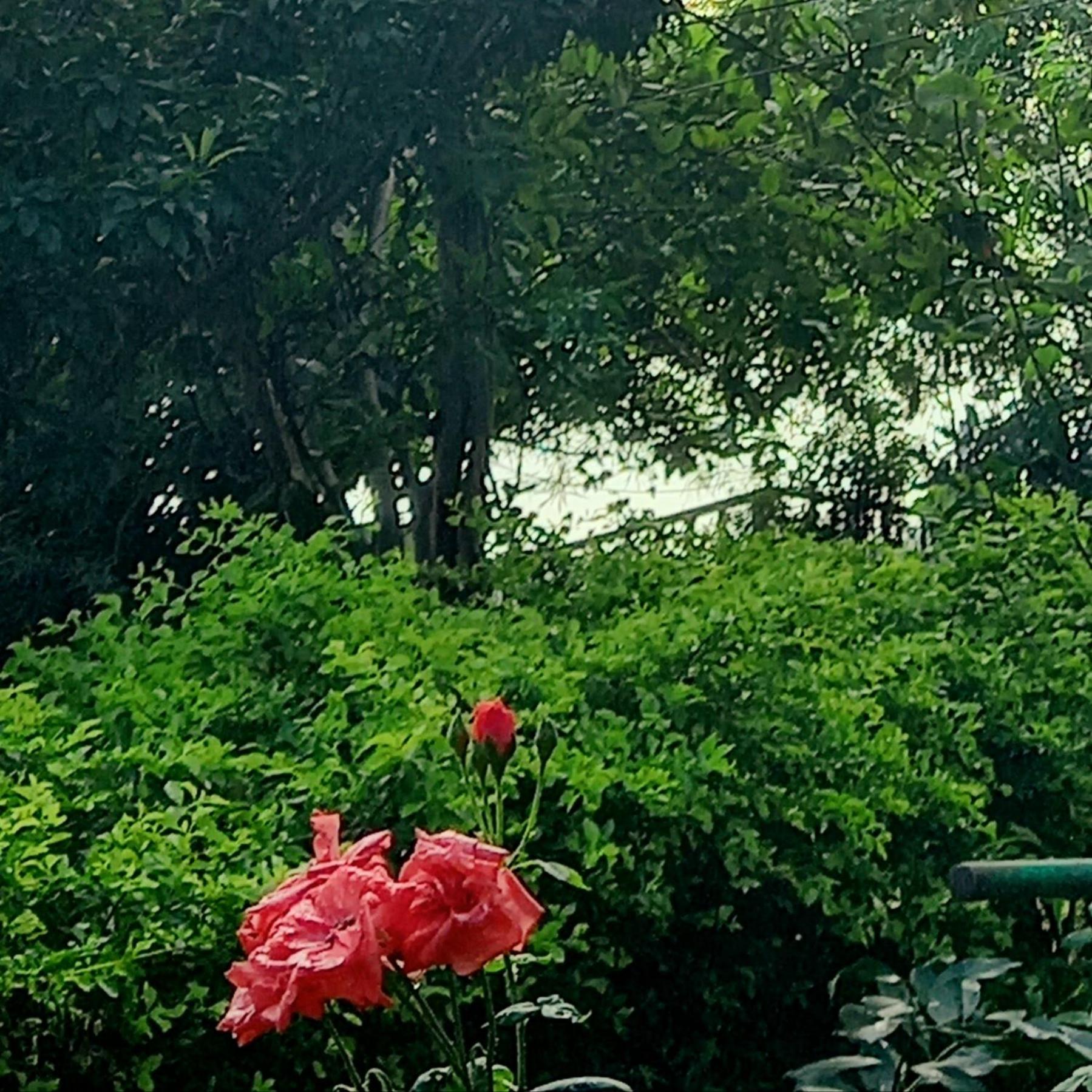 Tranquility view 5