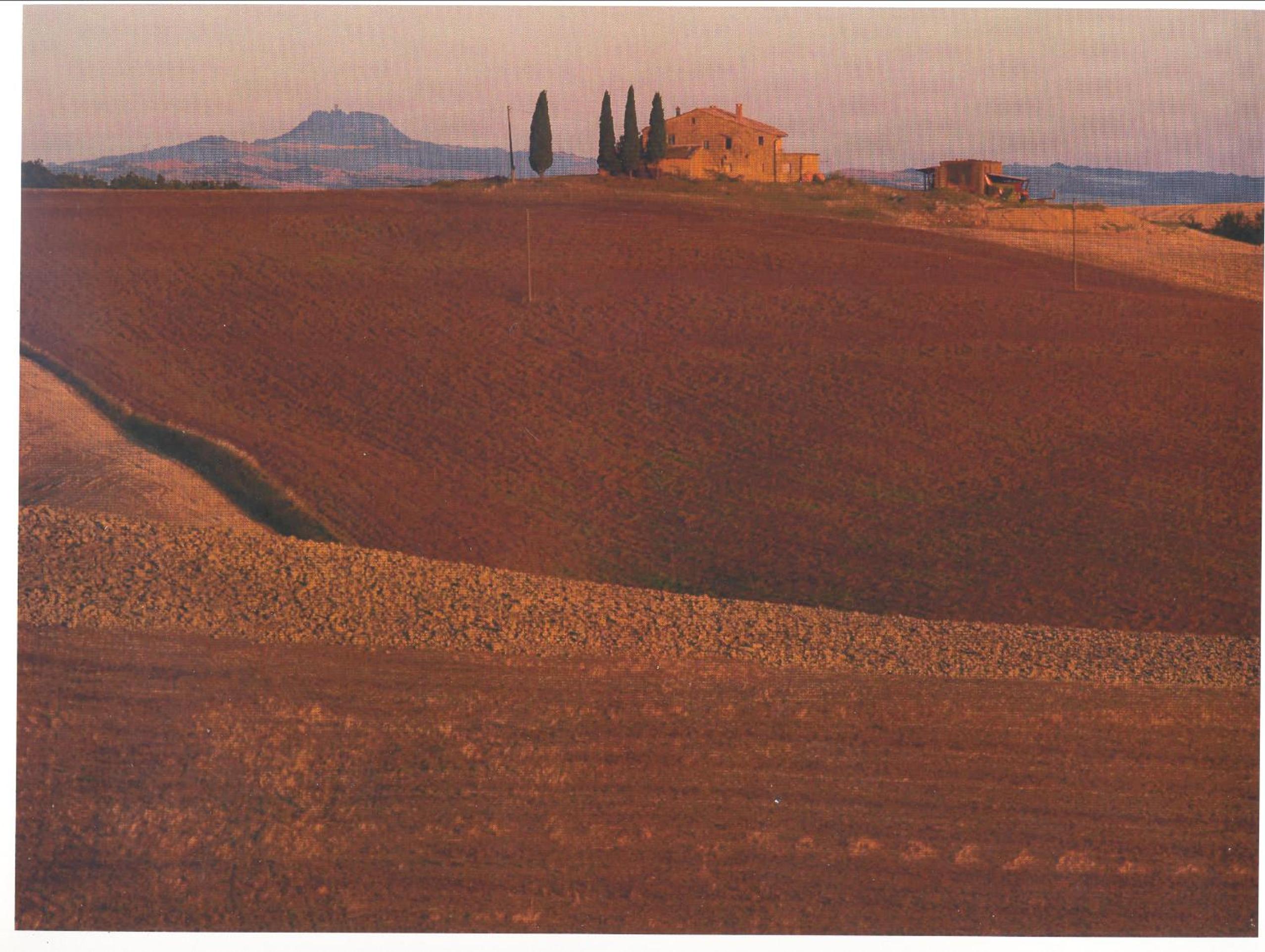 Agriturismo Bonello