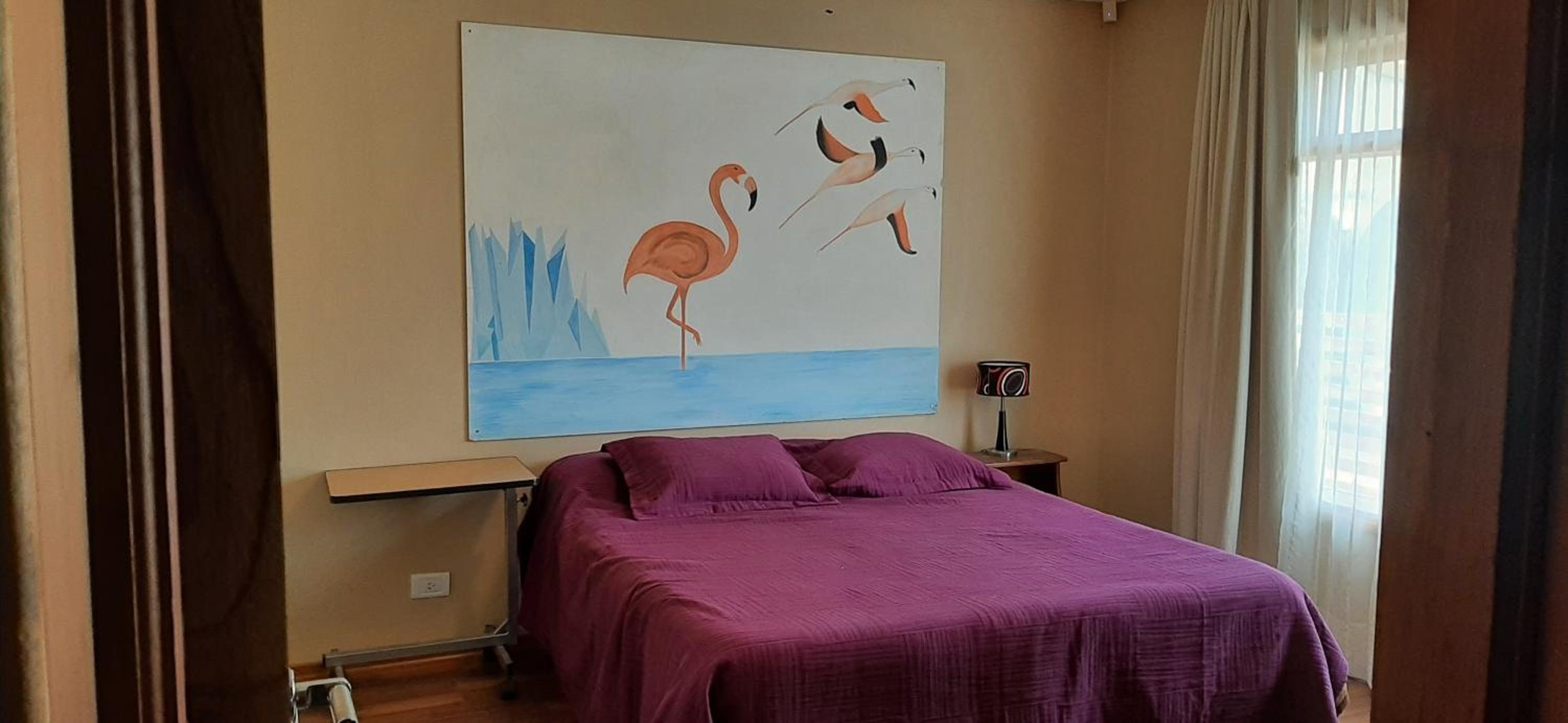 SHOTEL Calafate