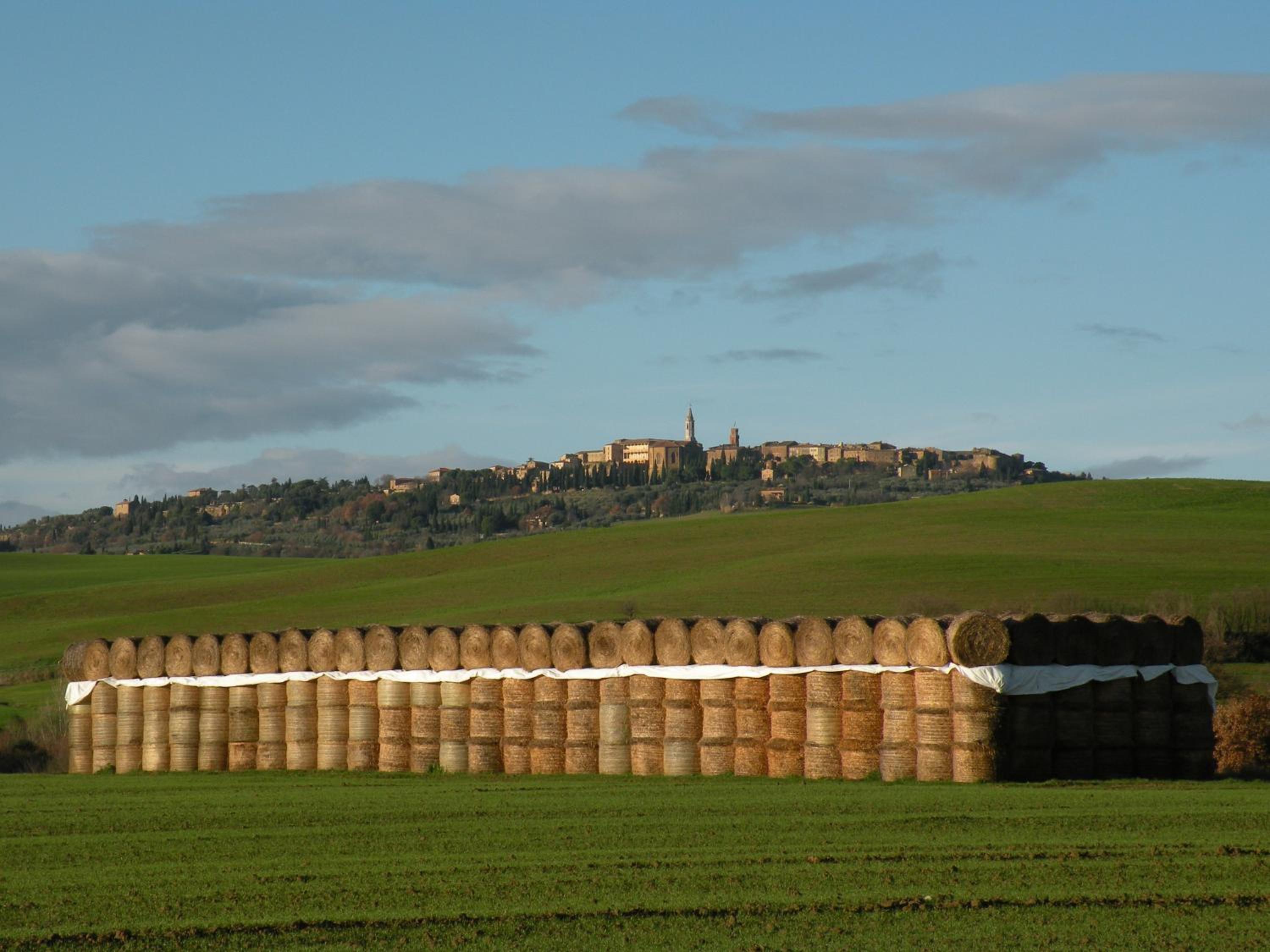 Agriturismo Bonello
