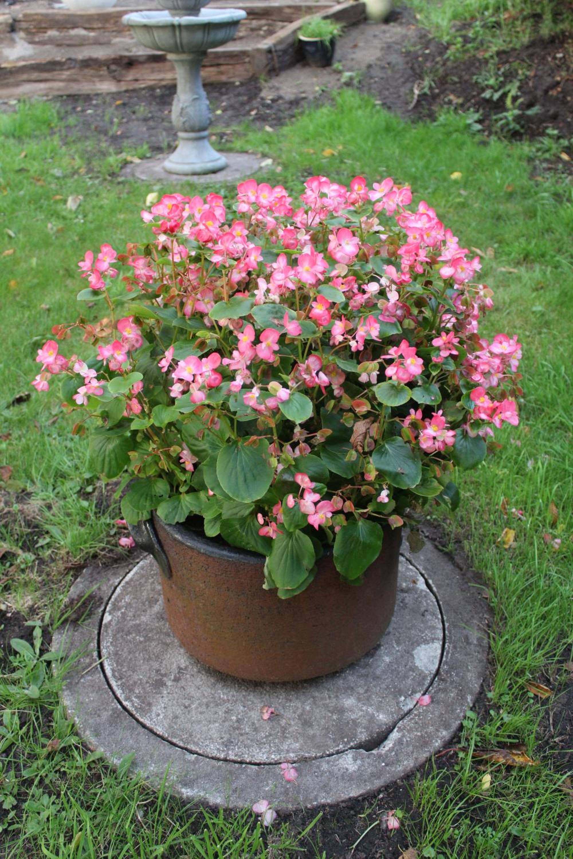 Photo 8