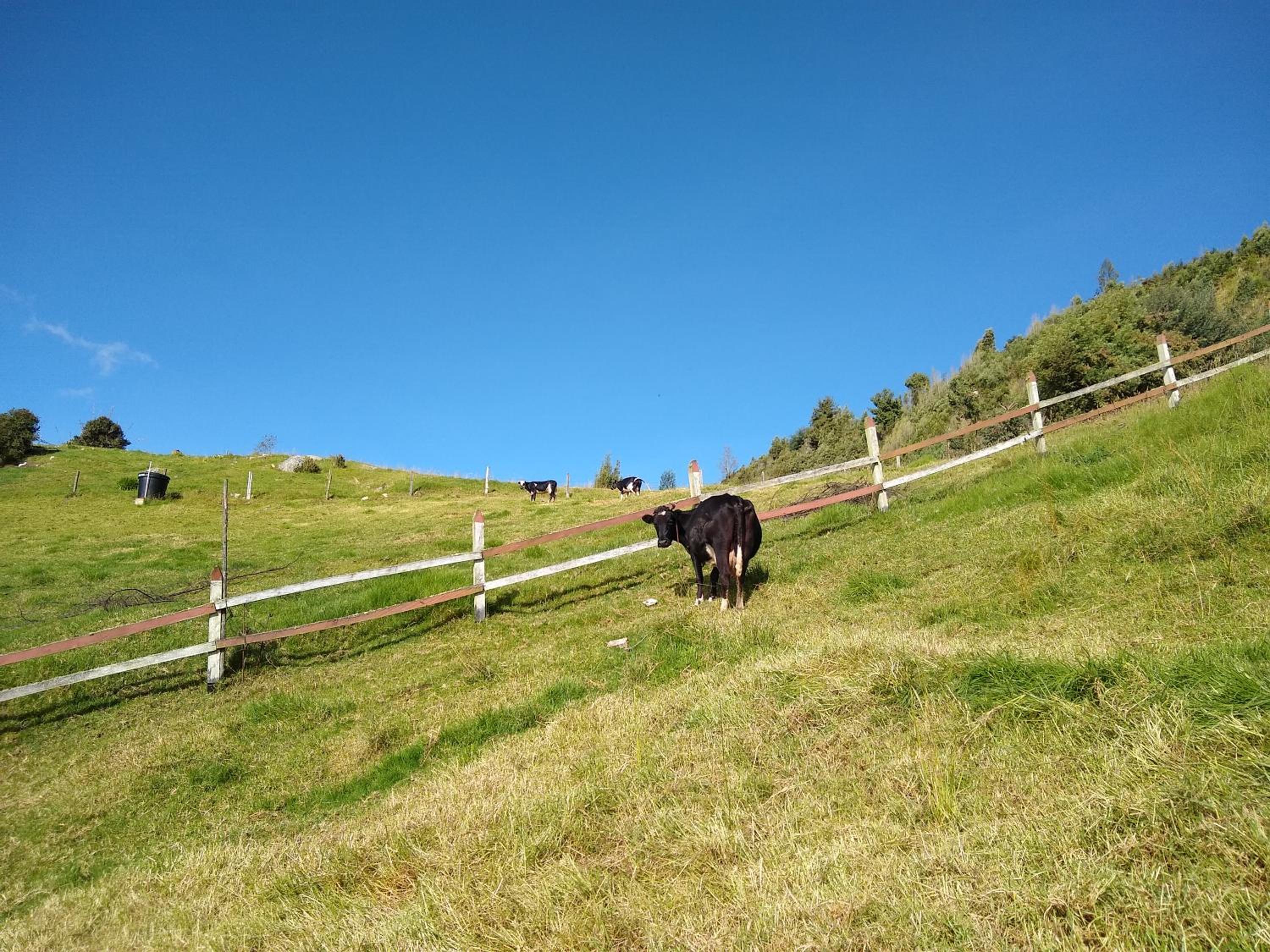 Finca Agrreste