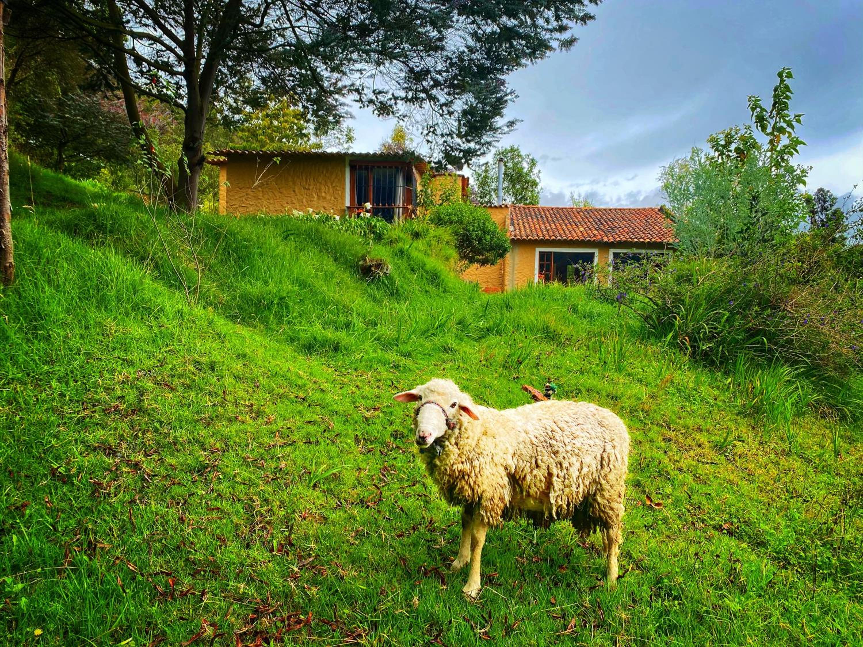 Finca Agrreste