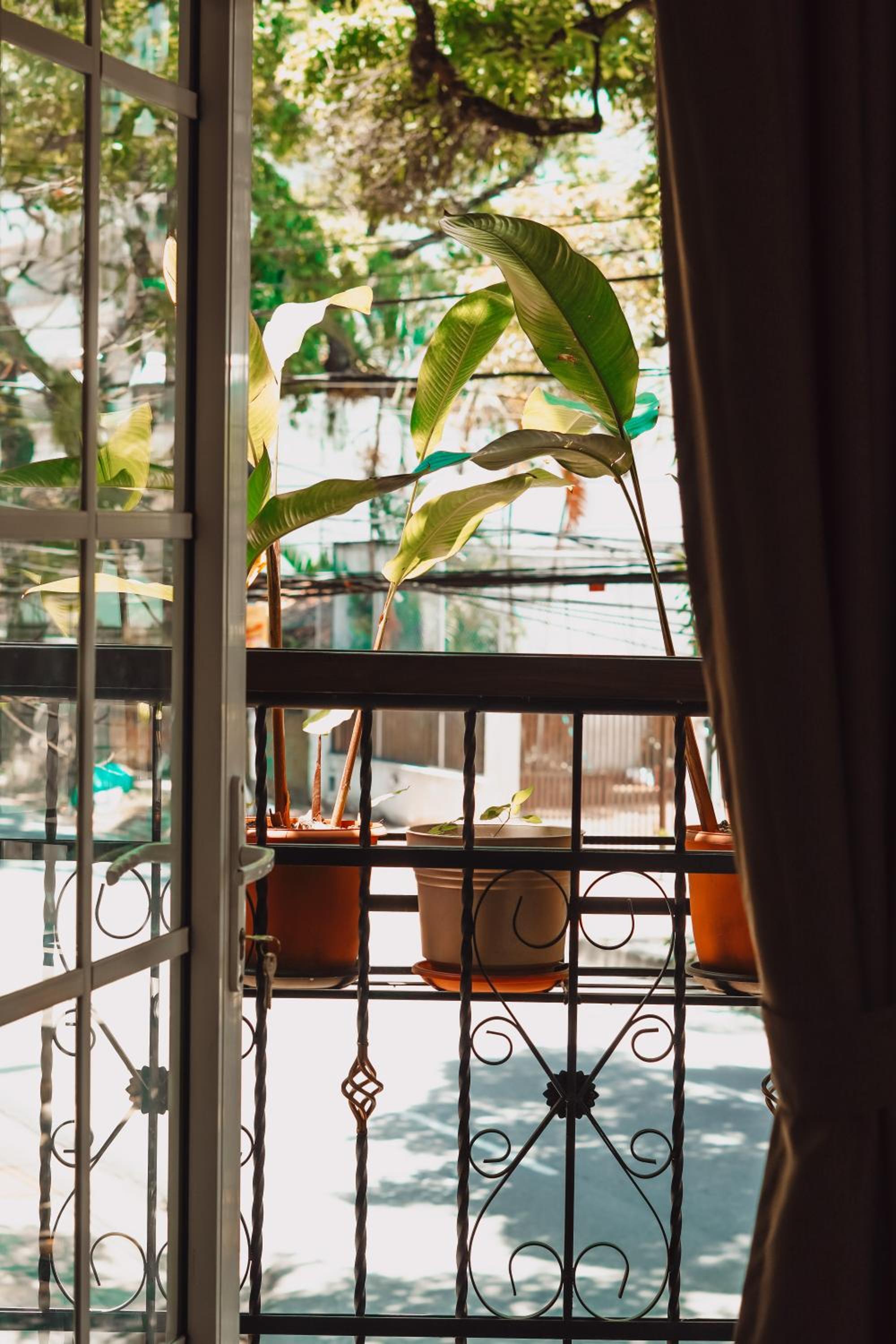 Hotel Casa del Hidalgo Centenario - Business & Leisure