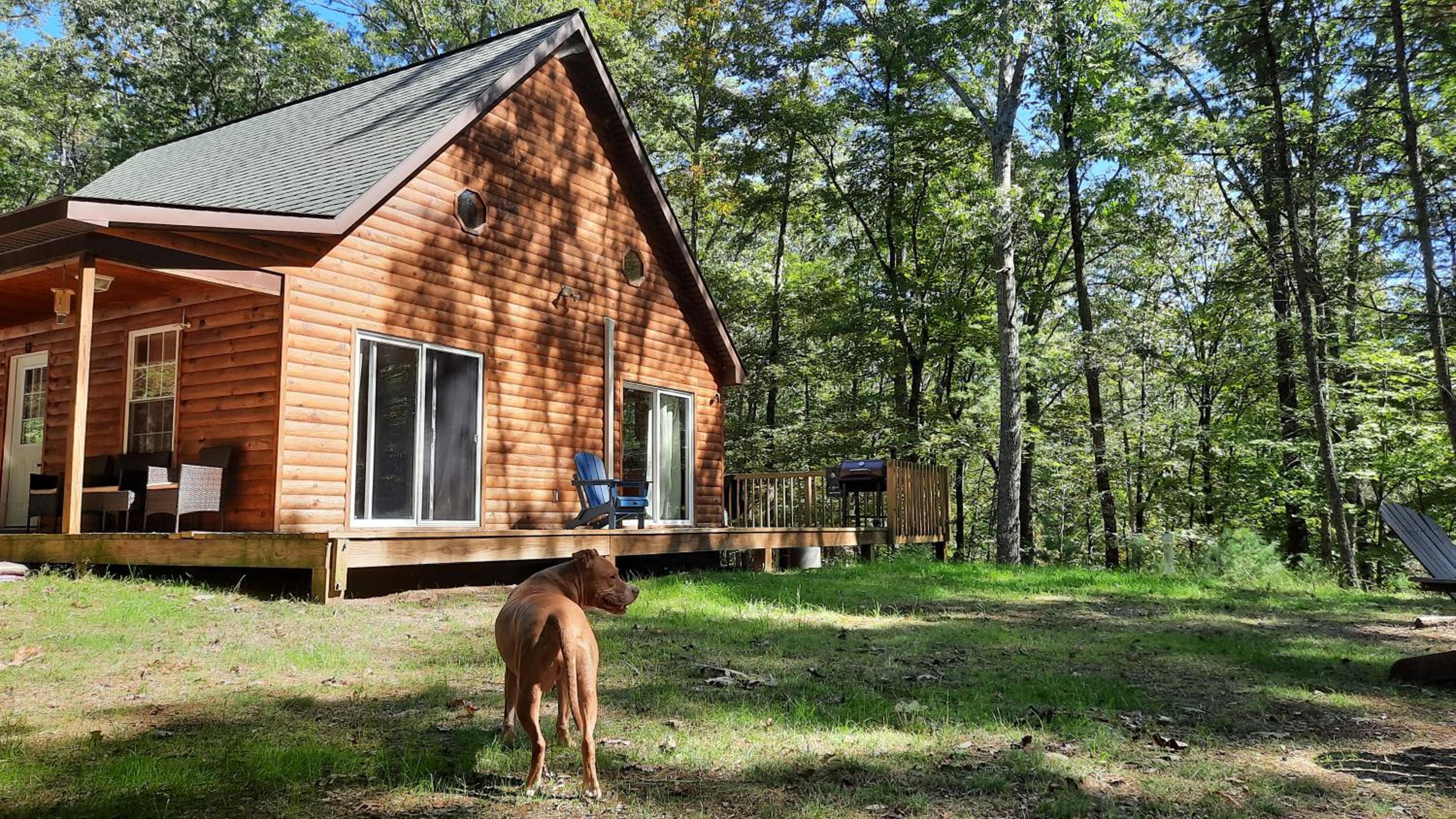 Remote Cabin WV Retreat-Escape from the Norm view 2