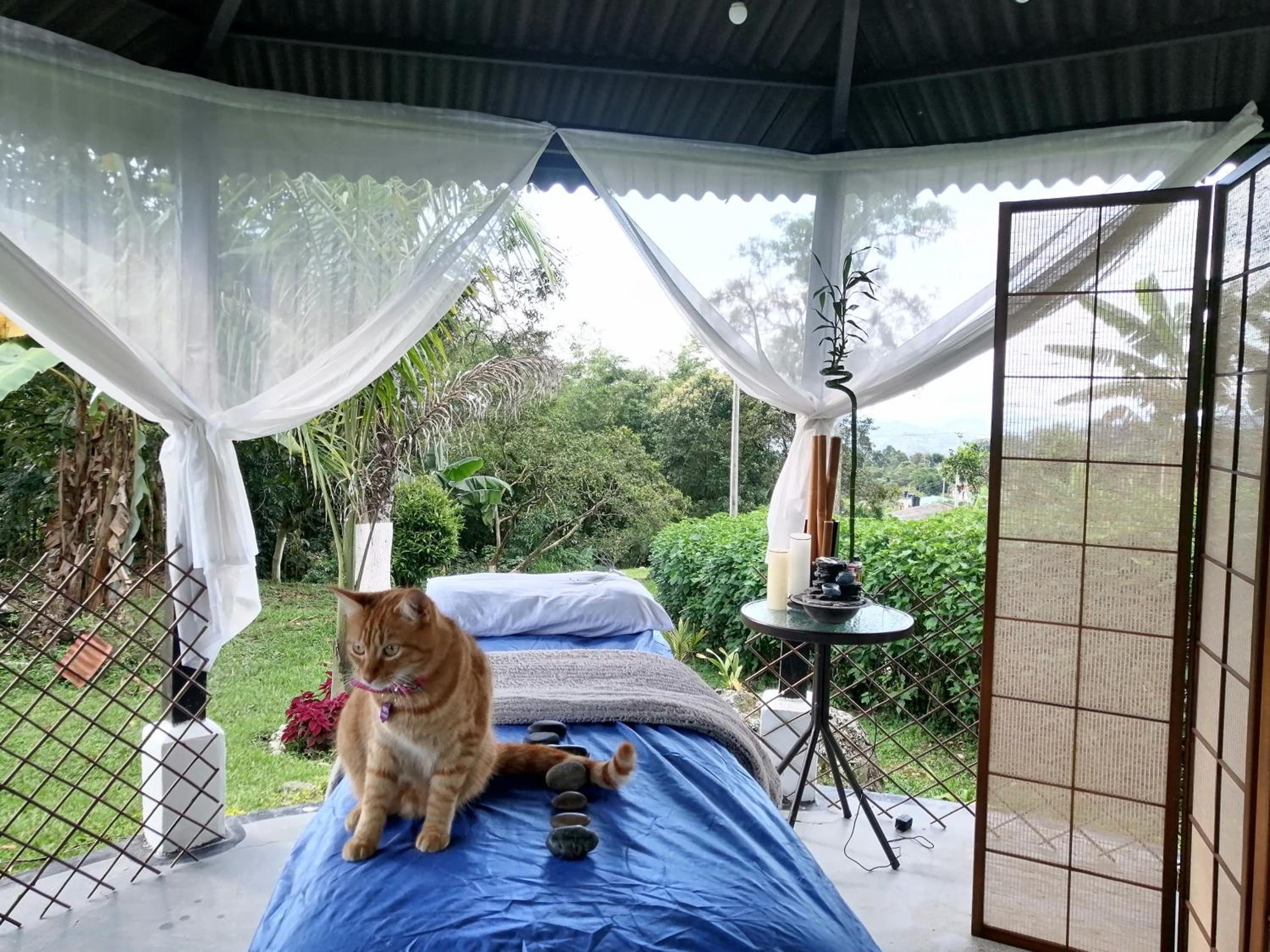 Finca ecoturística Villa tata