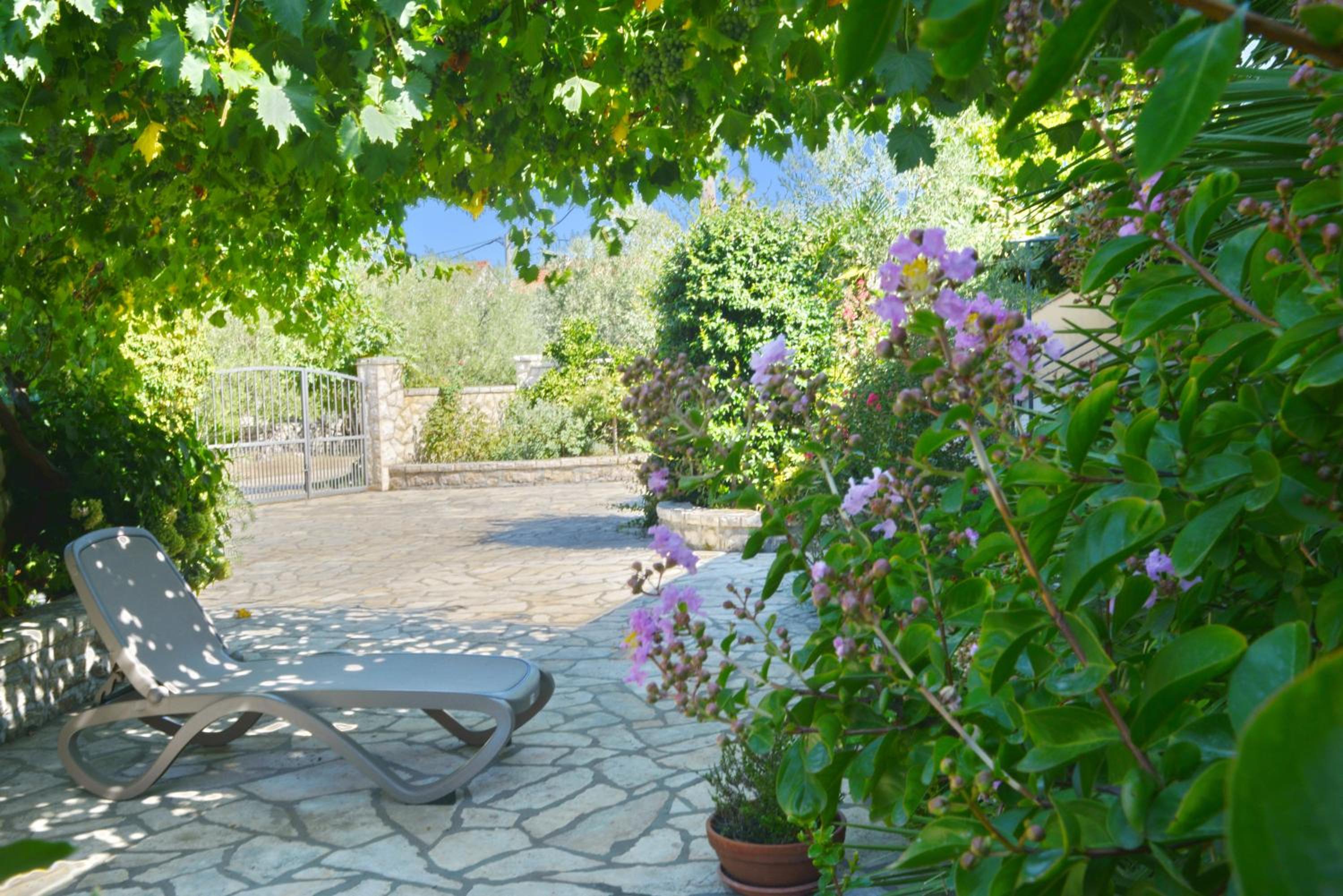 Photo 42
