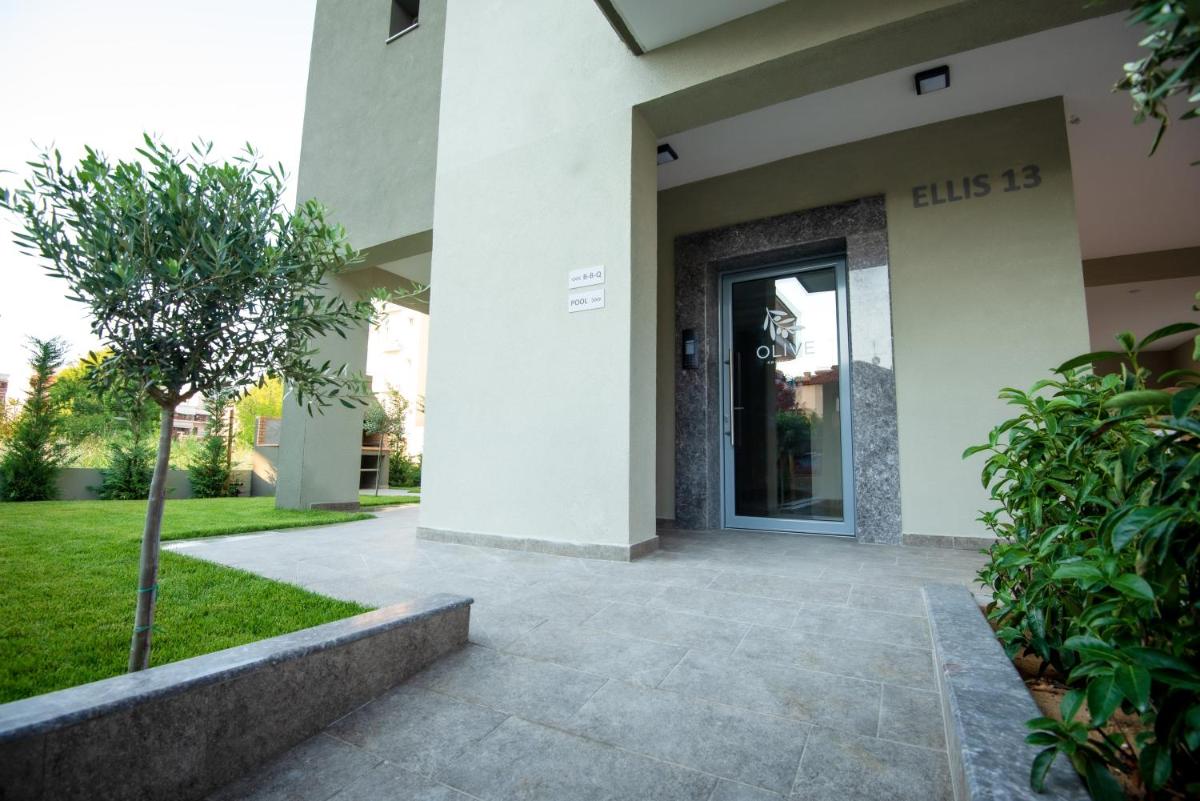 OLIVE 203 photo 3